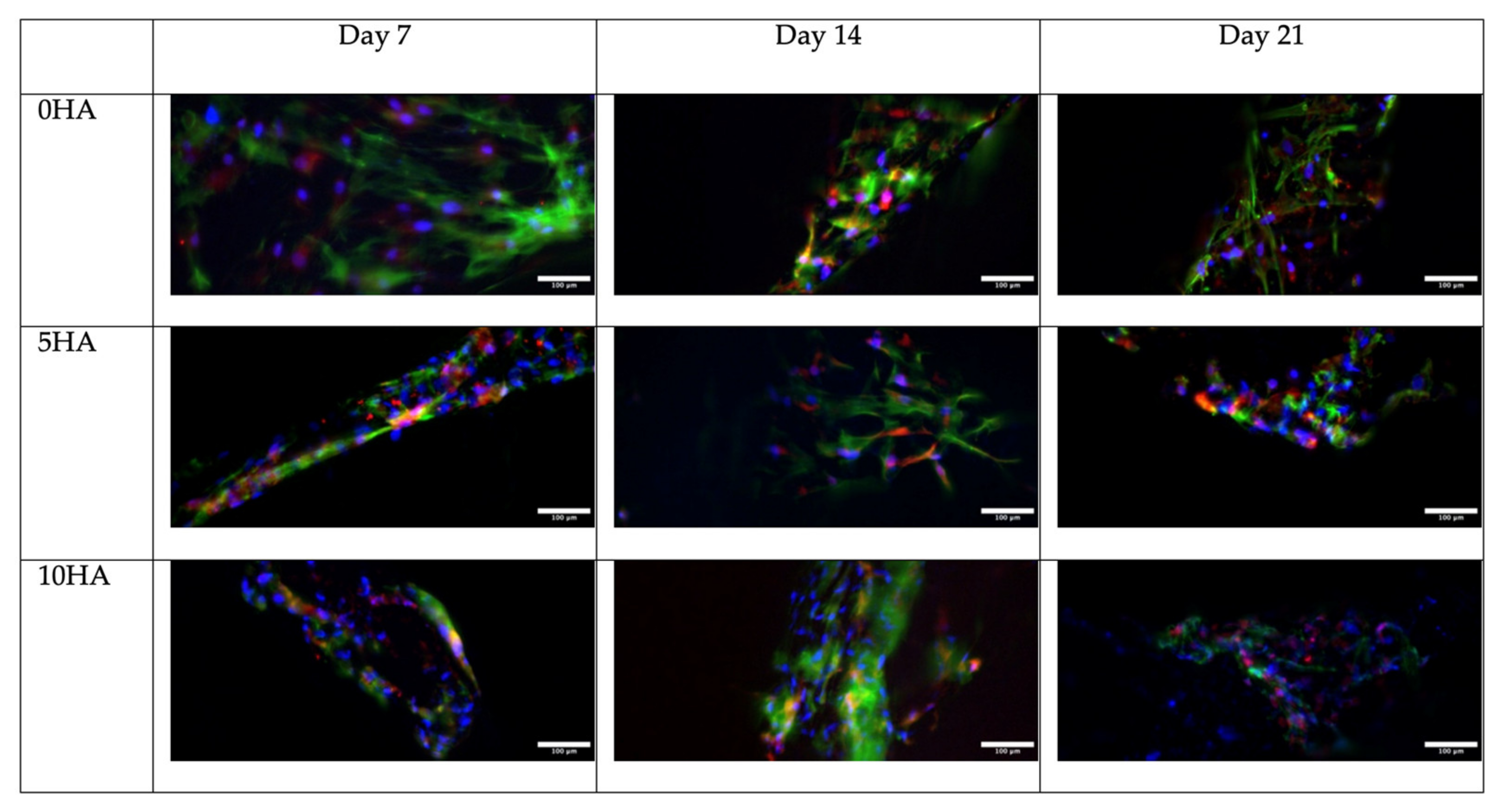 Biomolecules 12 01692 g014 Biomolecules 12 01692 g014