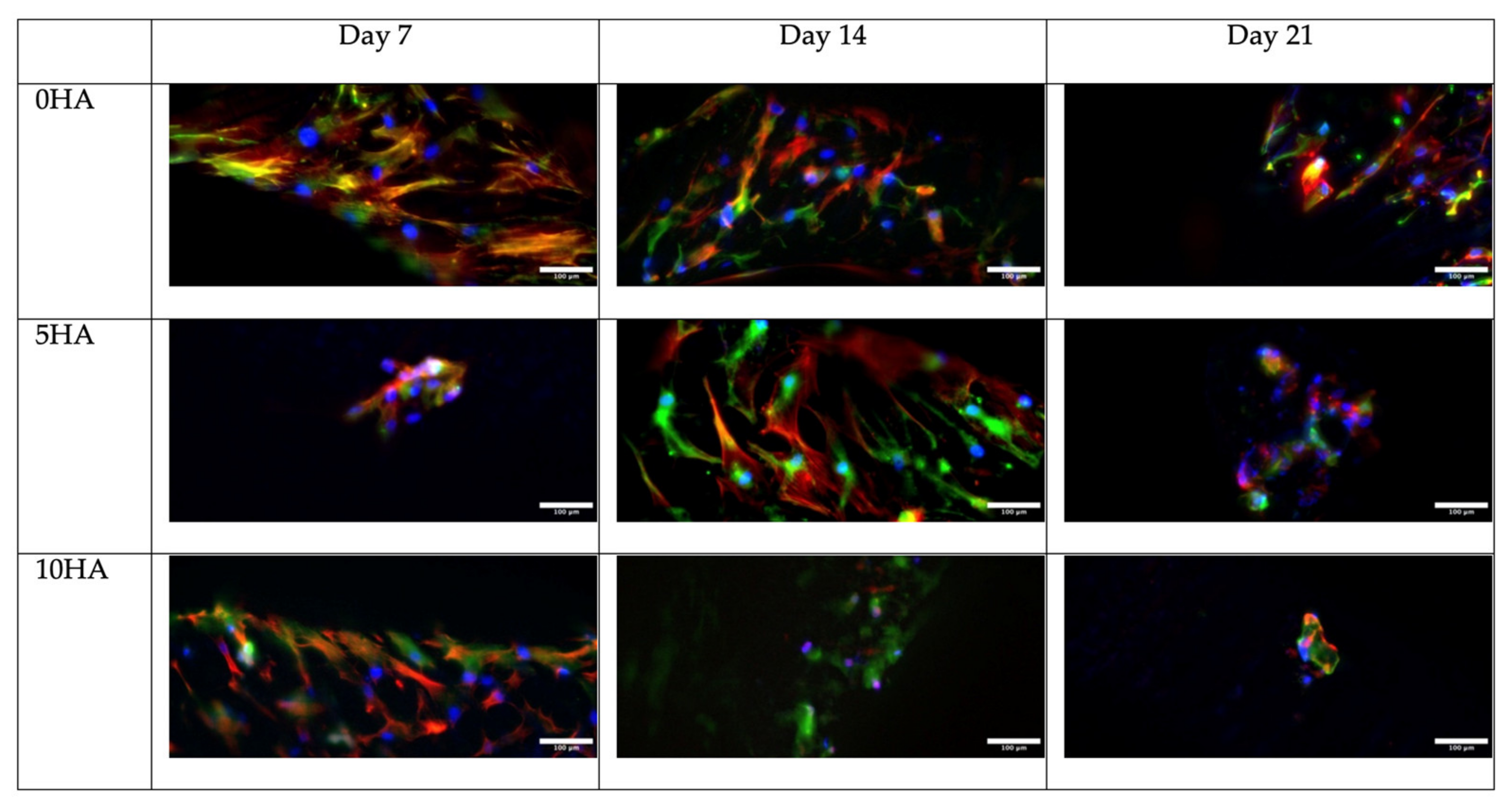 Biomolecules 12 01692 g015 Biomolecules 12 01692 g015