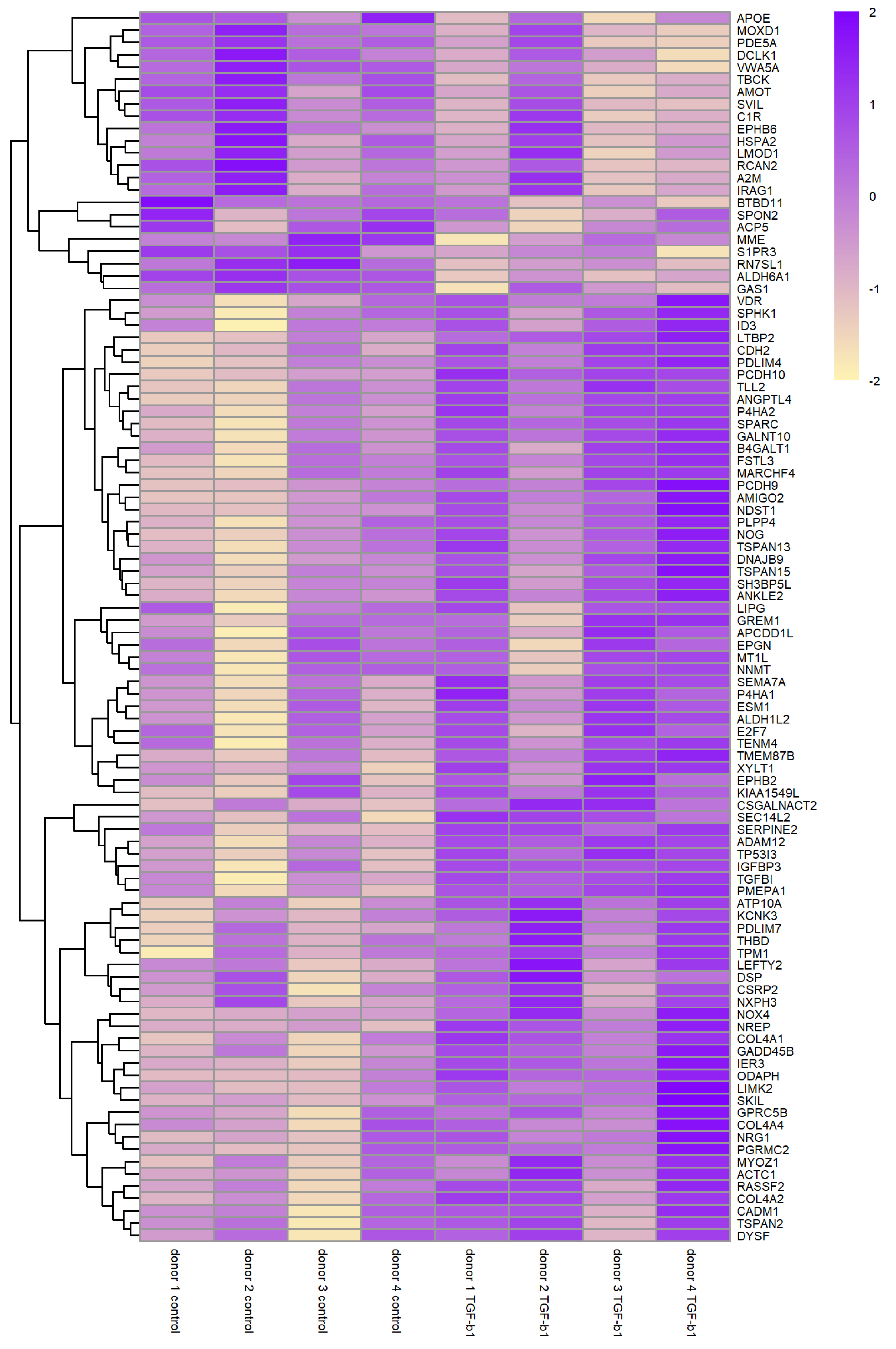 Biomolecules Free FullText GenomeWide RNA Sequencing of Human