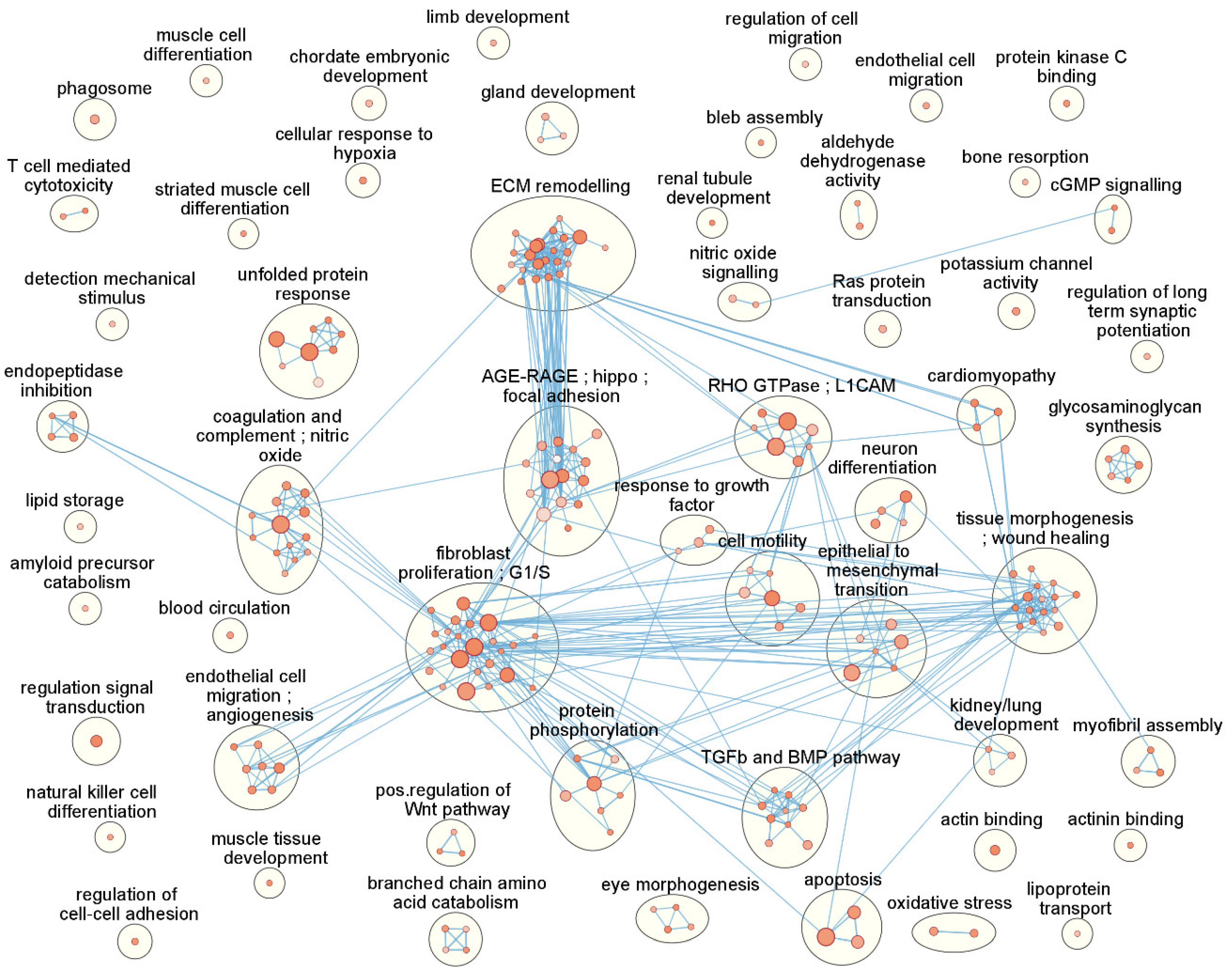 Biomolecules 12 01693 g003 Biomolecules 12 01693 g003