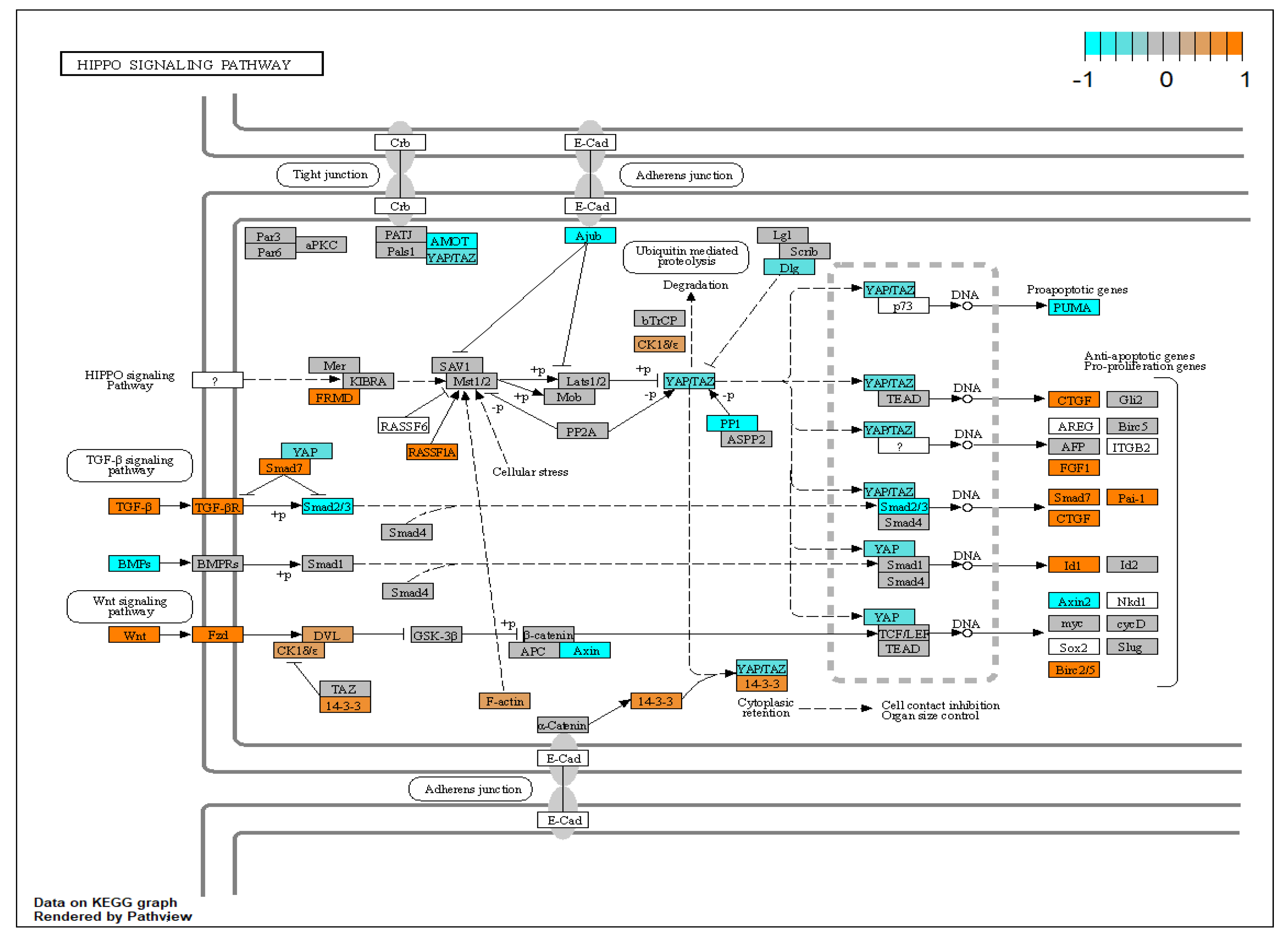 Biomolecules 12 01693 g010 Biomolecules 12 01693 g010
