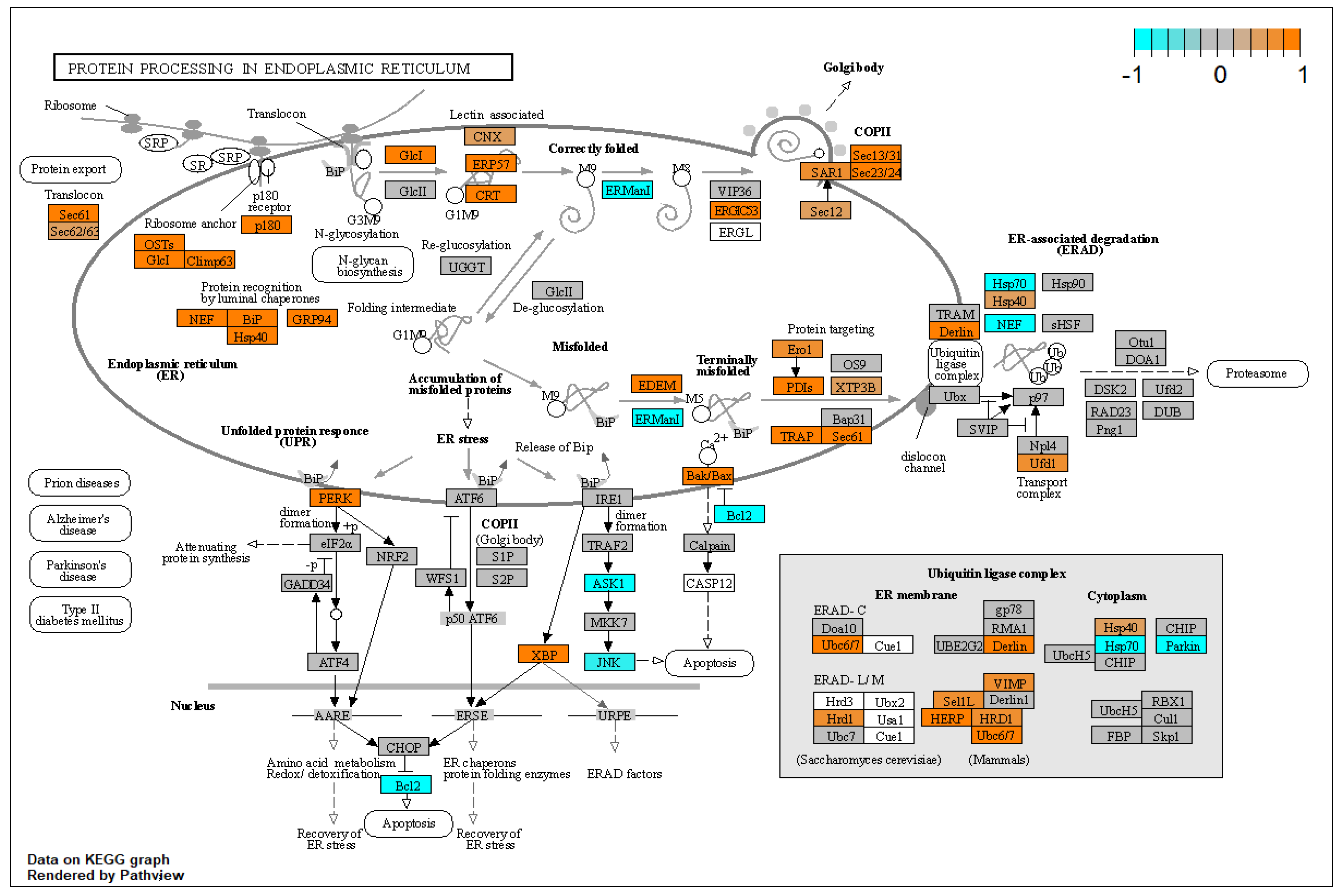 Biomolecules 12 01693 g011 Biomolecules 12 01693 g011