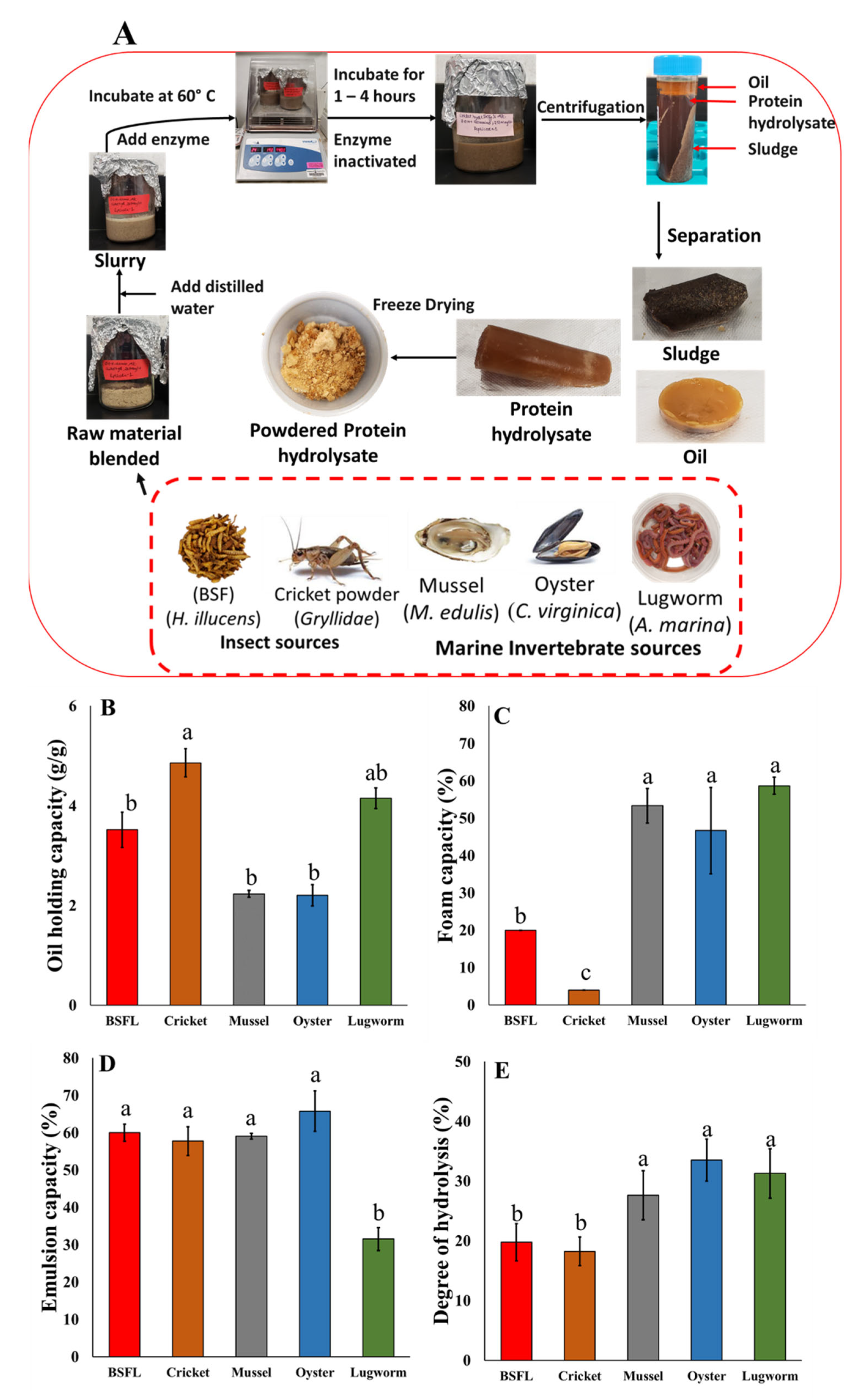 Biomolecules 12 01697 g001 Biomolecules 12 01697 g001