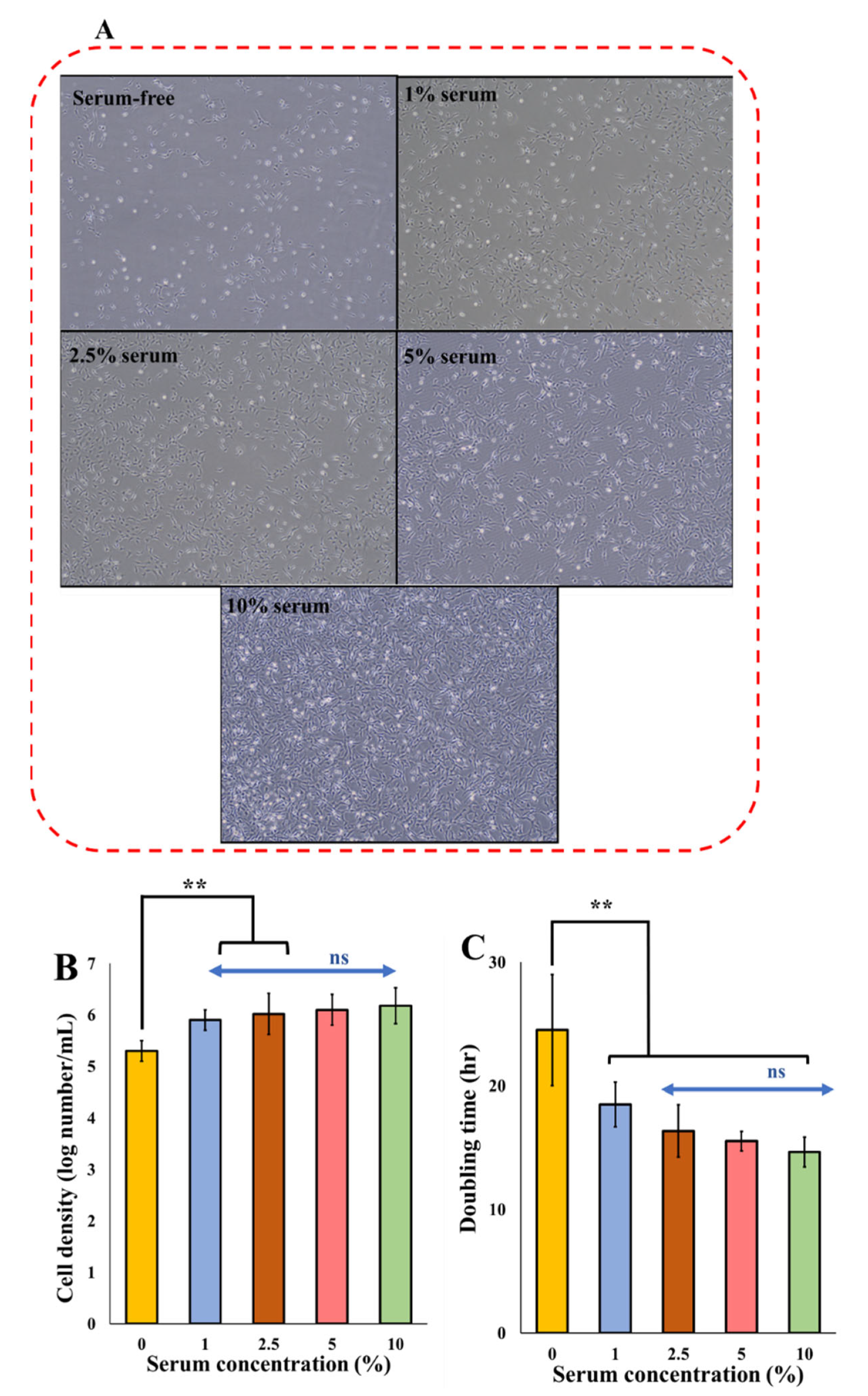 Biomolecules 12 01697 g002 Biomolecules 12 01697 g002