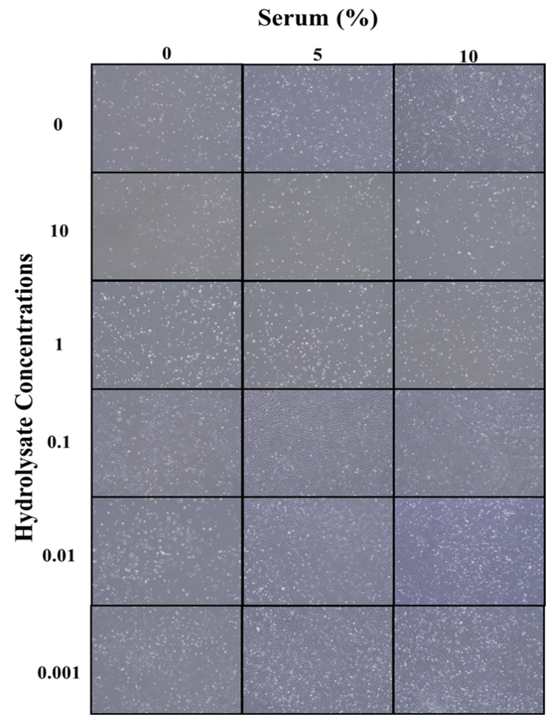 Biomolecules 12 01697 g005 Biomolecules 12 01697 g005