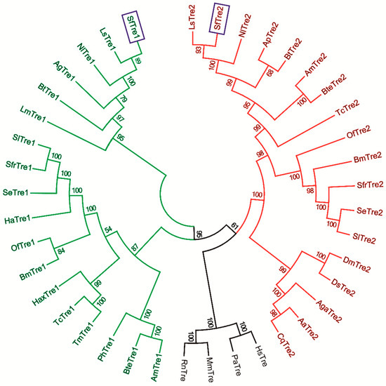 Knockdown of Two Trehalase Genes by RNA Interference Is Knockdown of Two Trehalase Genes by RNA Interference Is