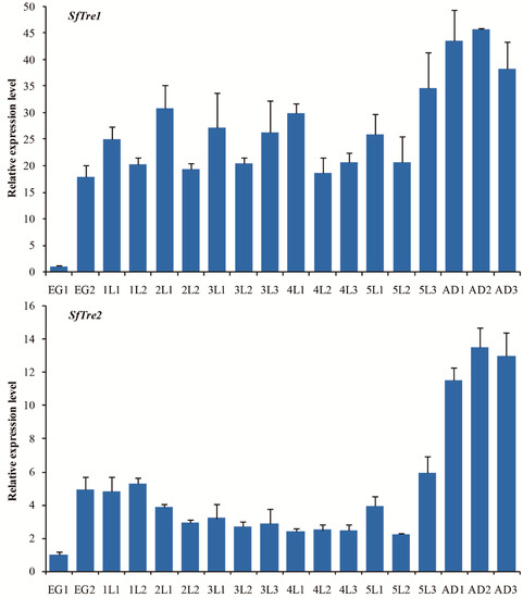Knockdown of Two Trehalase Genes by RNA Interference Is