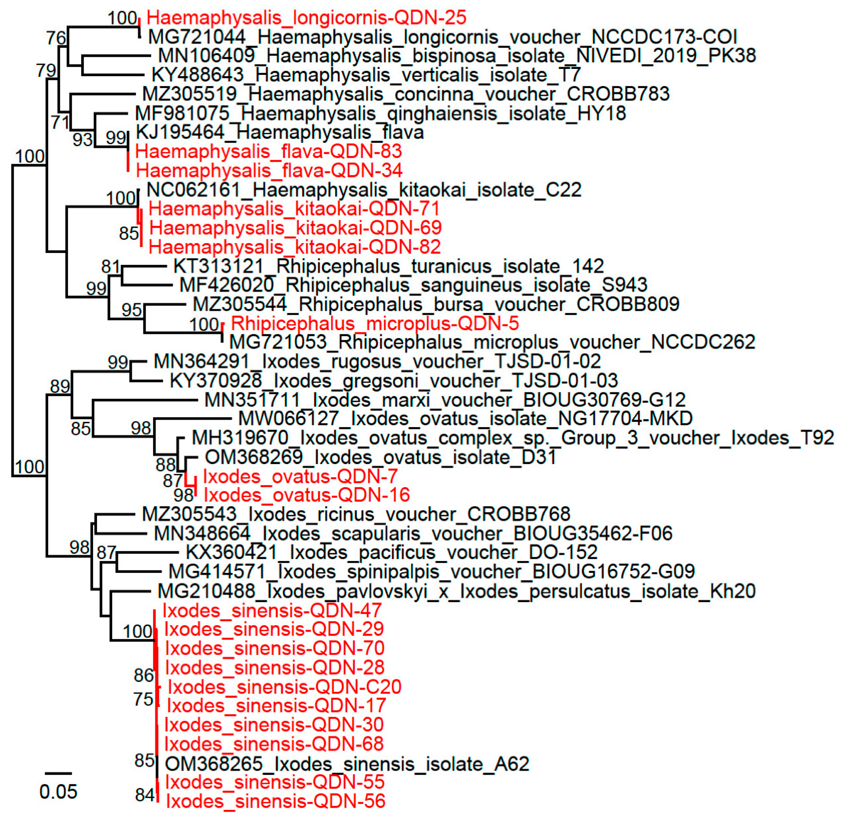 Biomolecules 12 01701 g001 Biomolecules 12 01701 g001