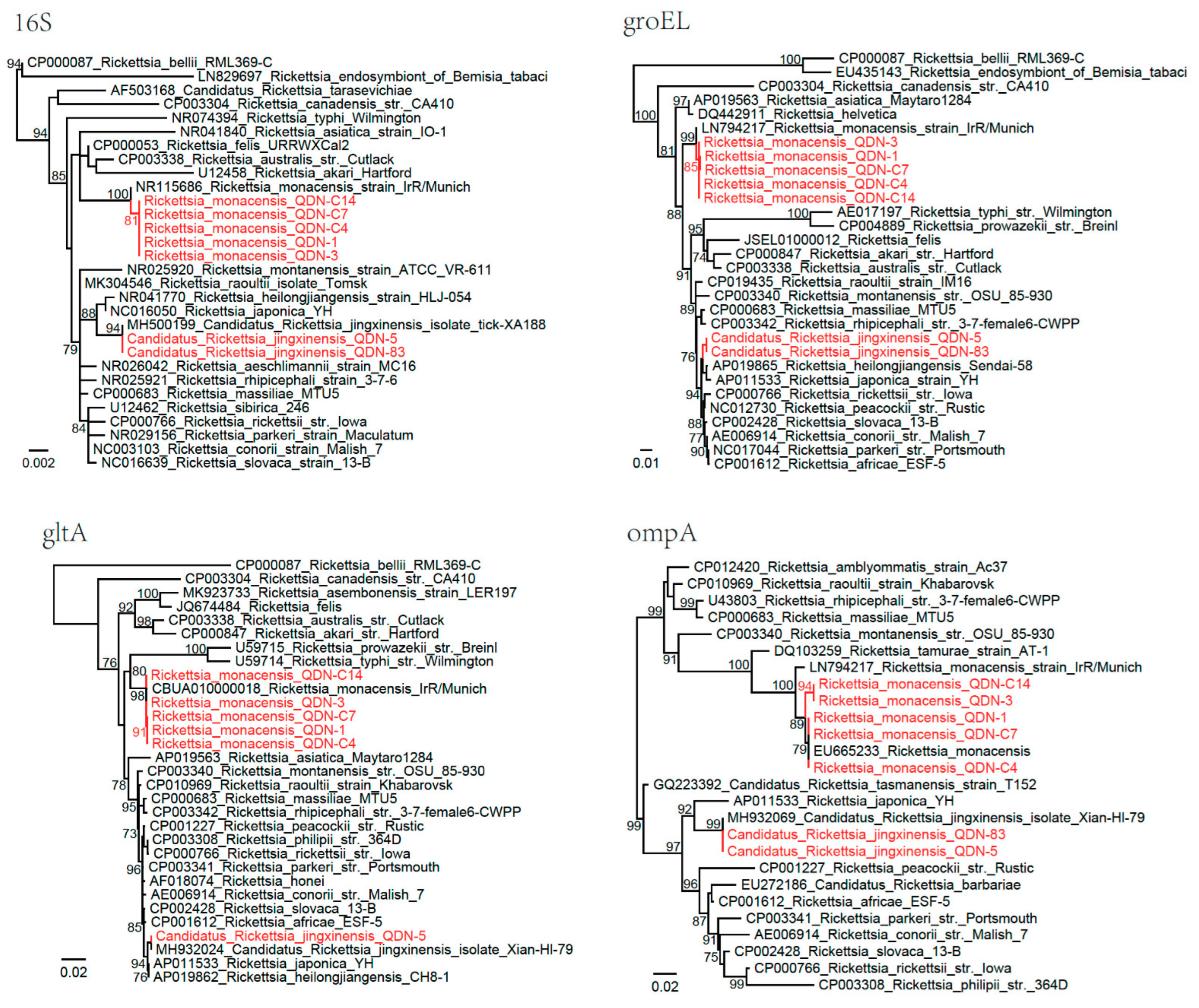Biomolecules 12 01701 g002 Biomolecules 12 01701 g002