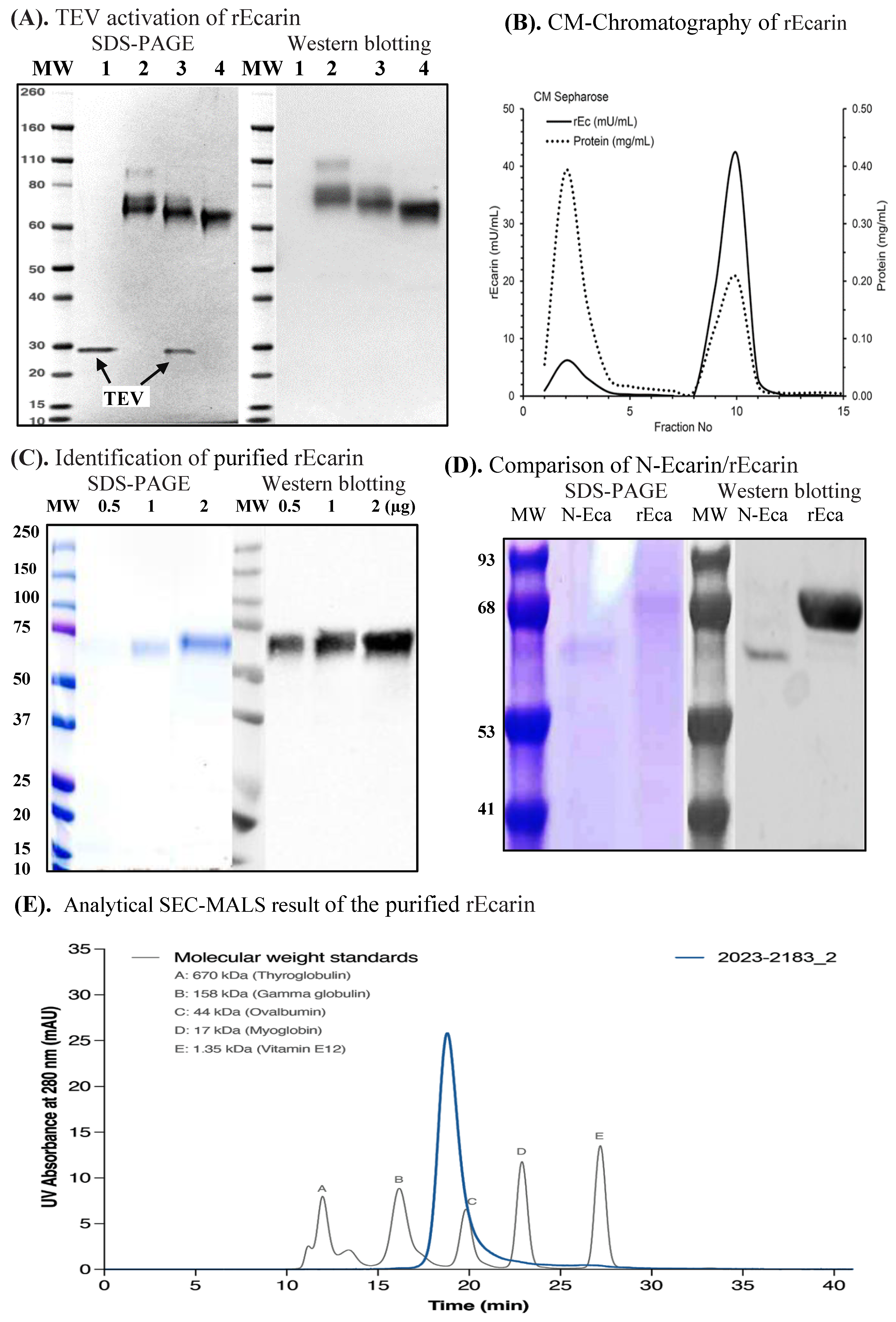 Biomolecules 12 01704 g001