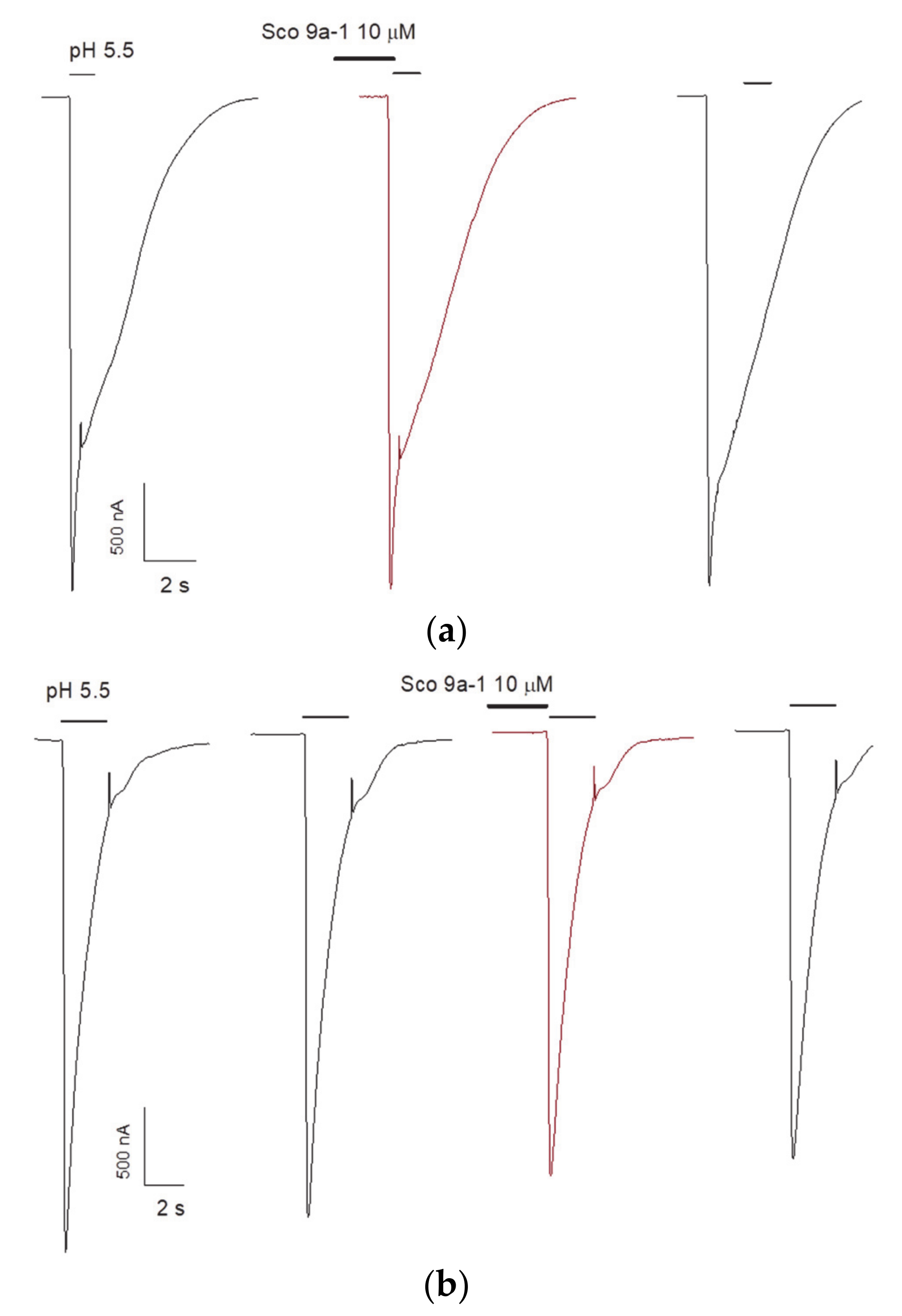 Biomolecules 12 01705 g008 Biomolecules 12 01705 g008