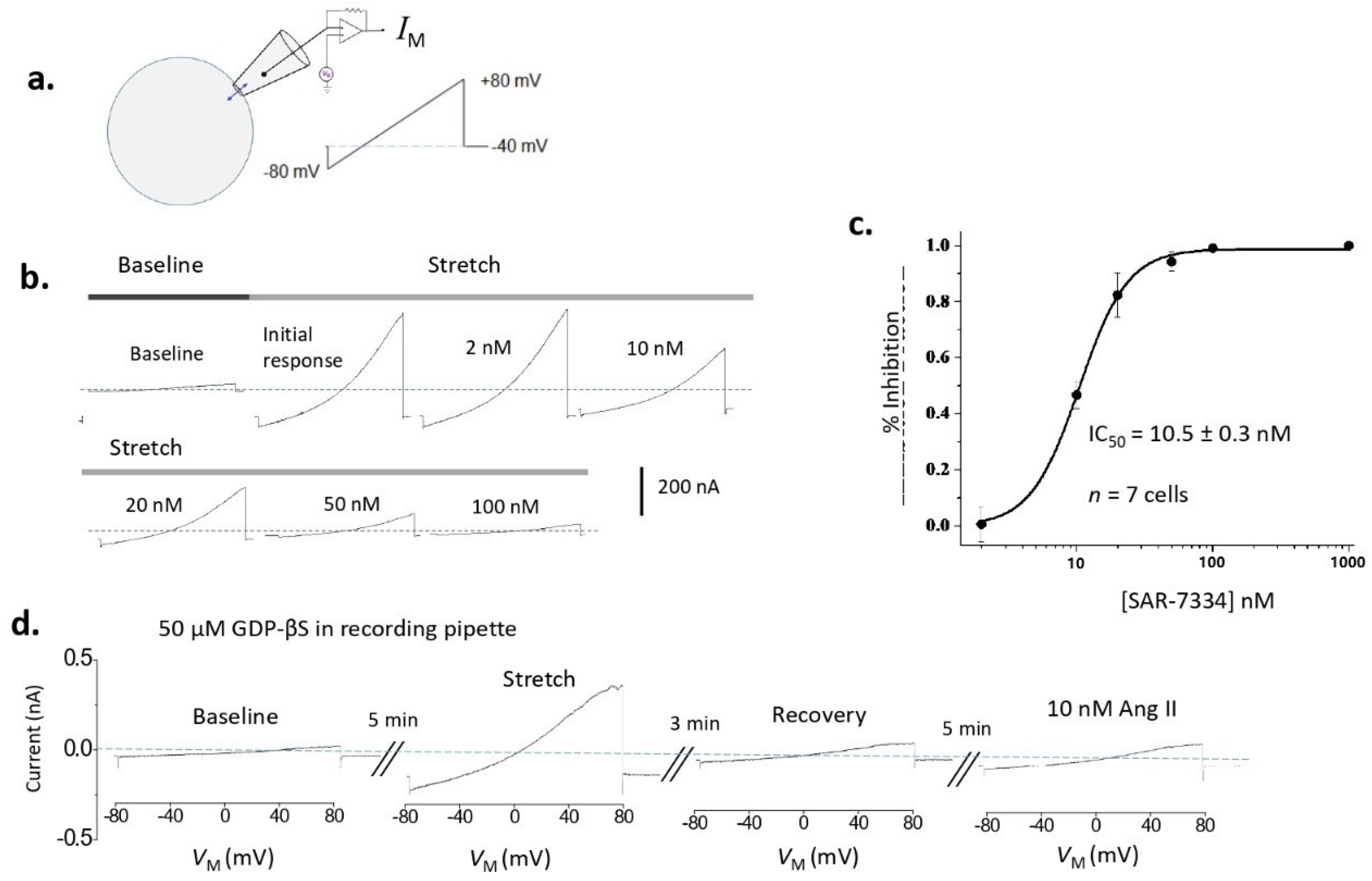 Biomolecules 12 01710 g001 Biomolecules 12 01710 g001