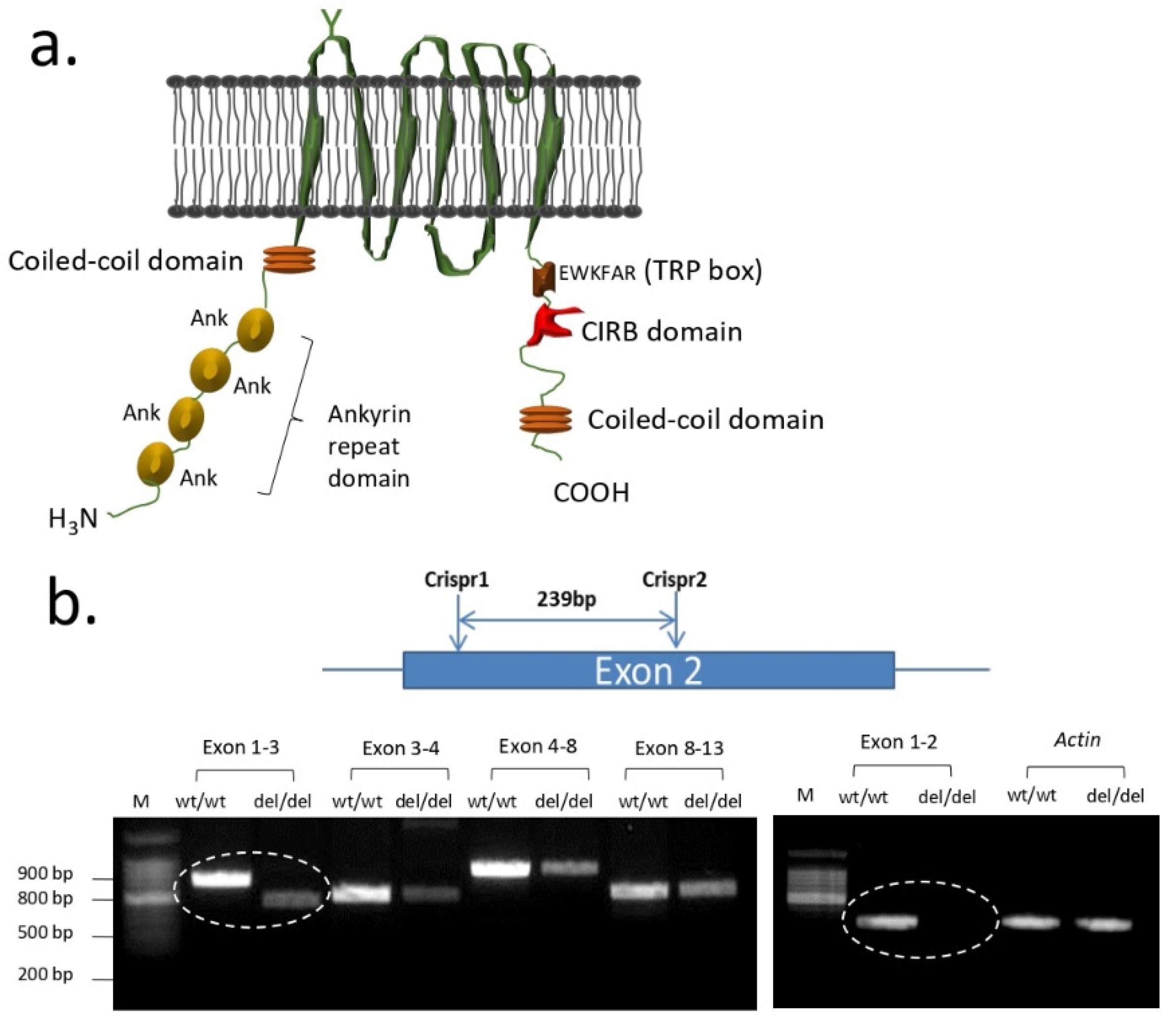 Biomolecules 12 01710 g002 Biomolecules 12 01710 g002