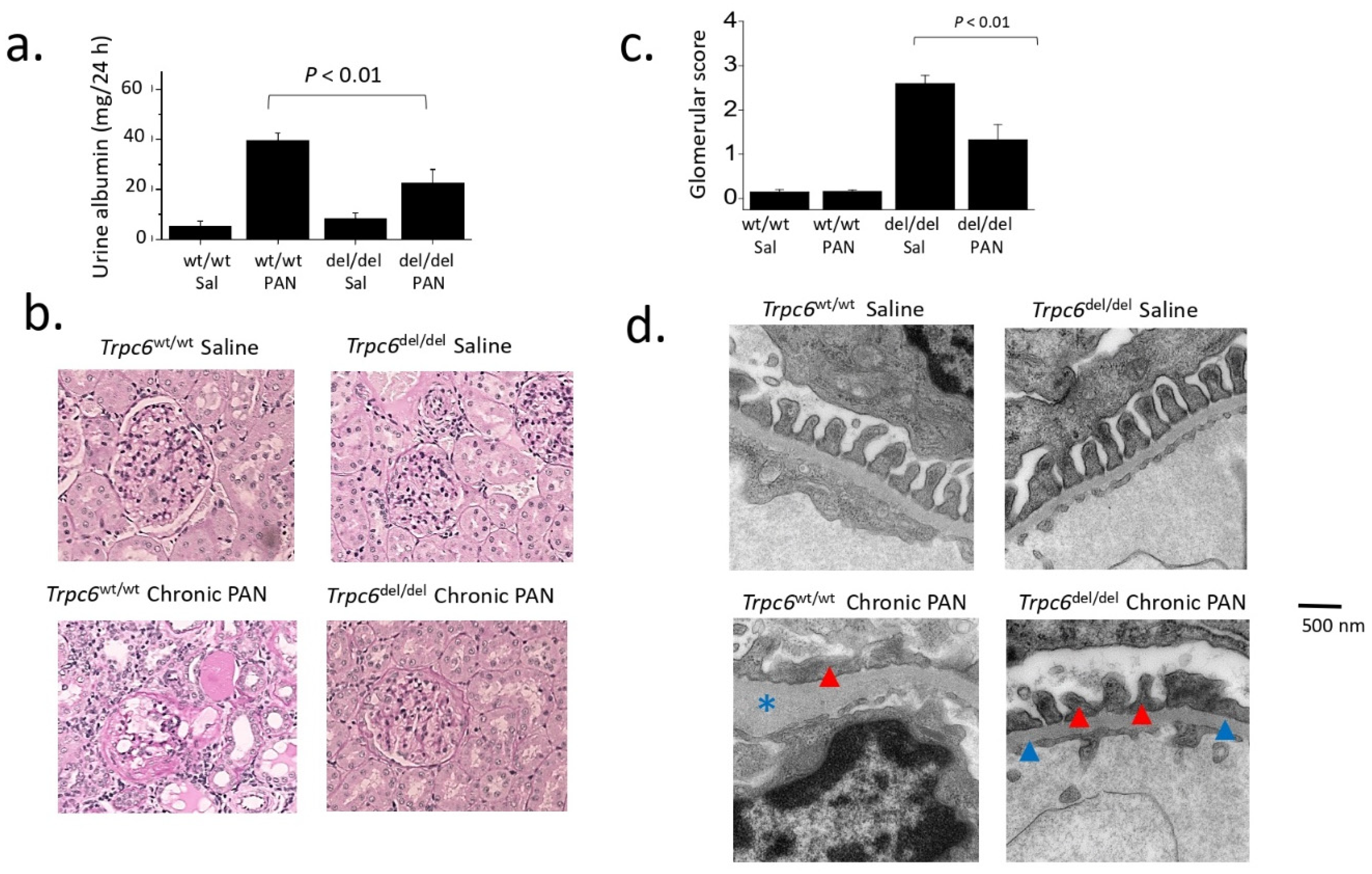 Biomolecules 12 01710 g003 Biomolecules 12 01710 g003