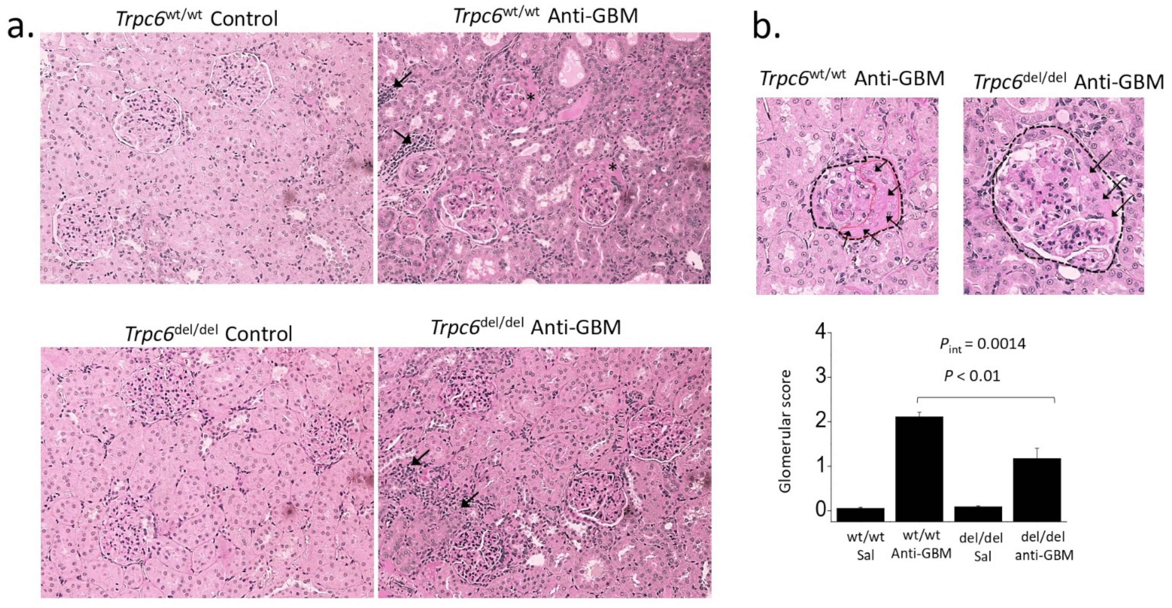 Biomolecules 12 01710 g004 Biomolecules 12 01710 g004
