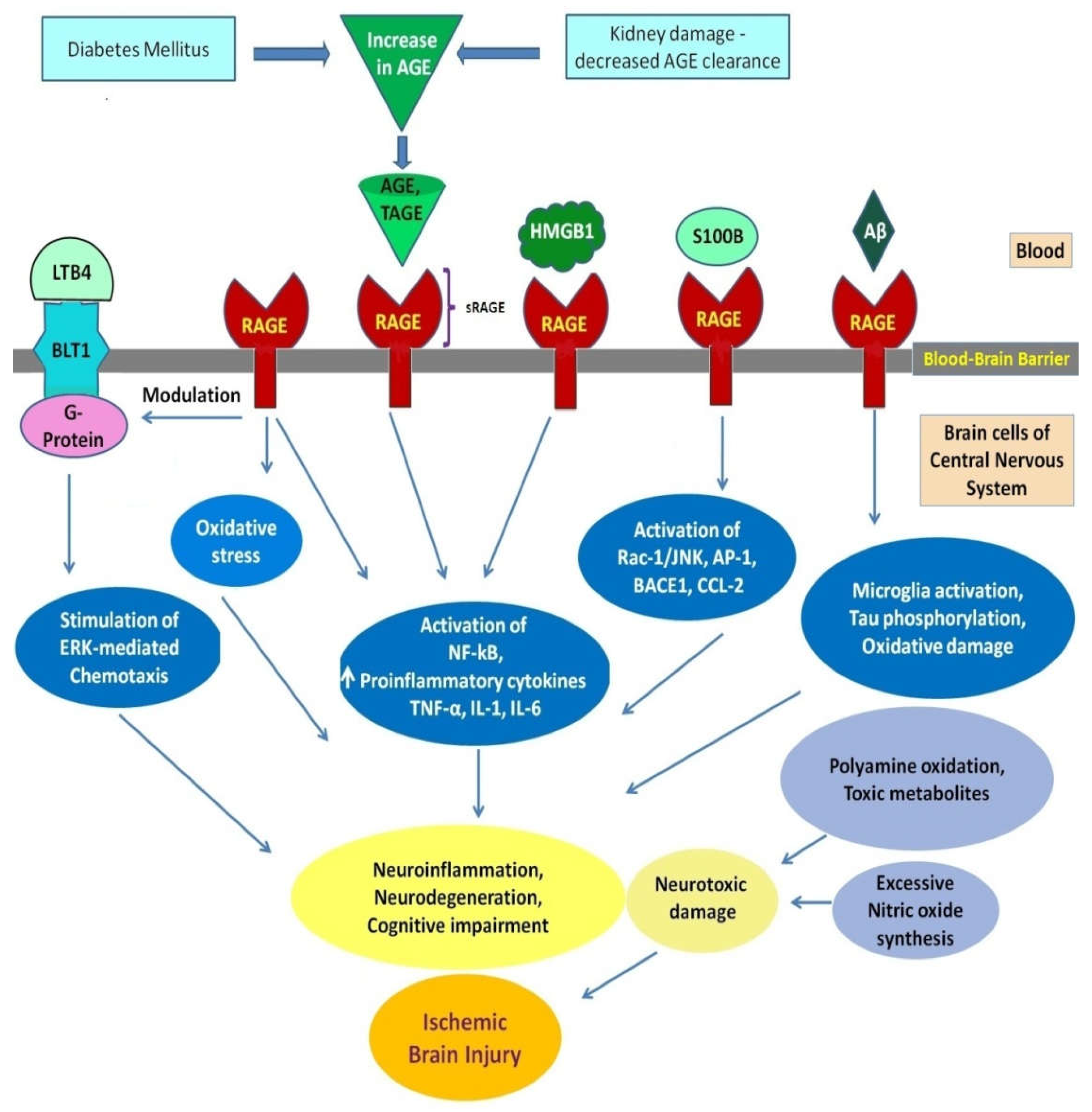 pharmacological approaches towards counteracting Glycation end product