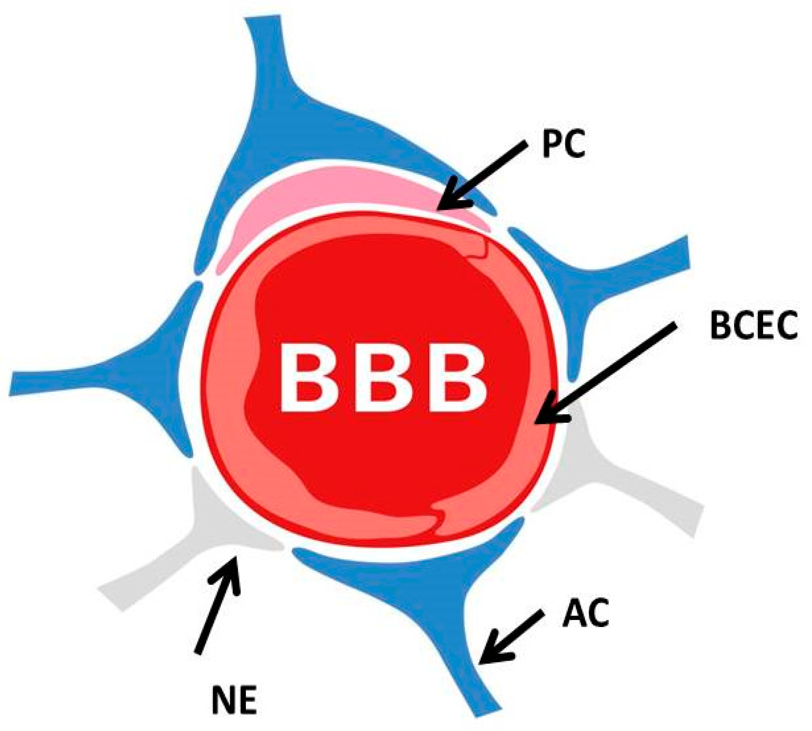 Biomolecules 12 01717 g001 Biomolecules 12 01717 g001
