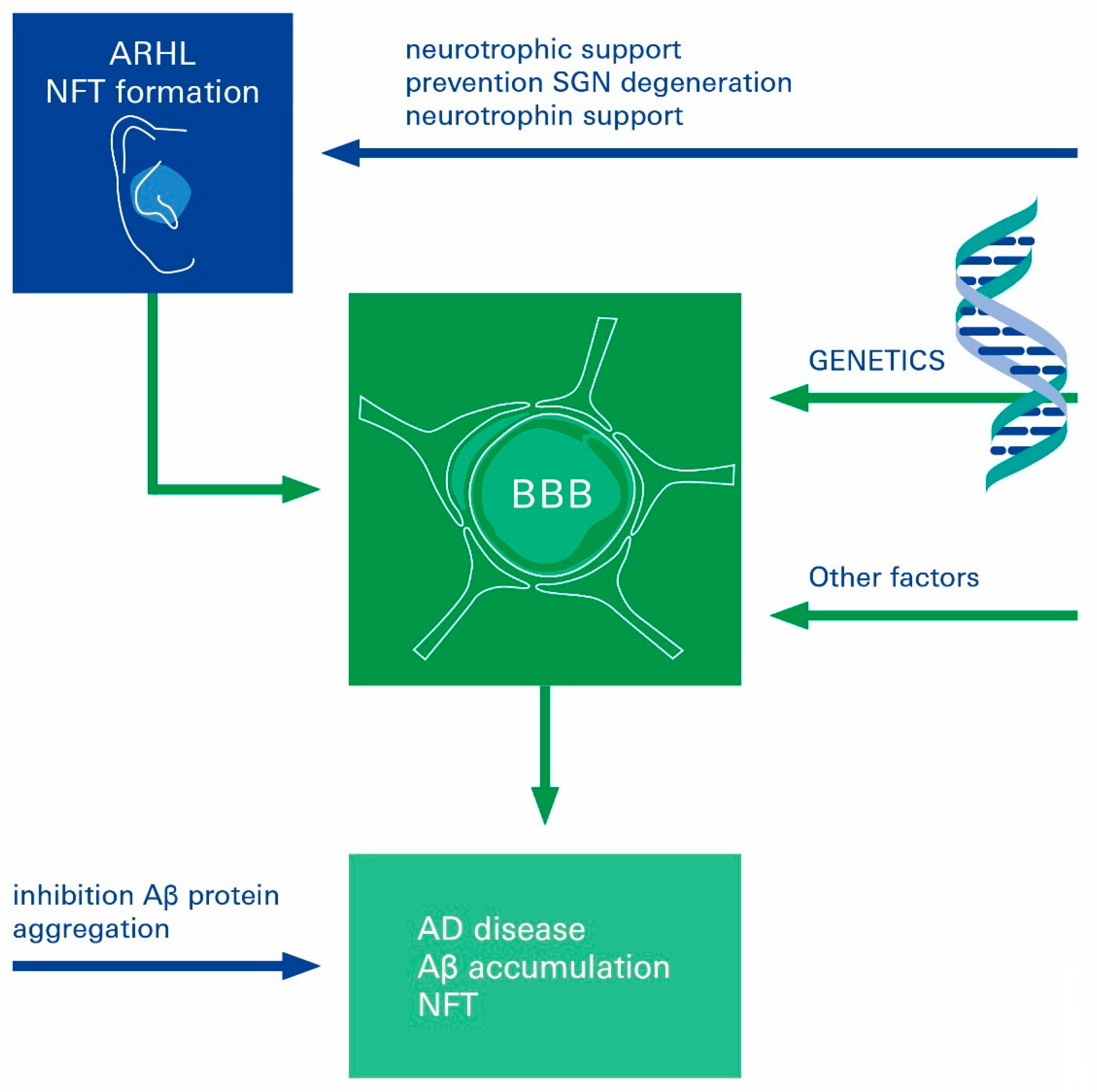 Biomolecules 12 01717 g005 Biomolecules 12 01717 g005