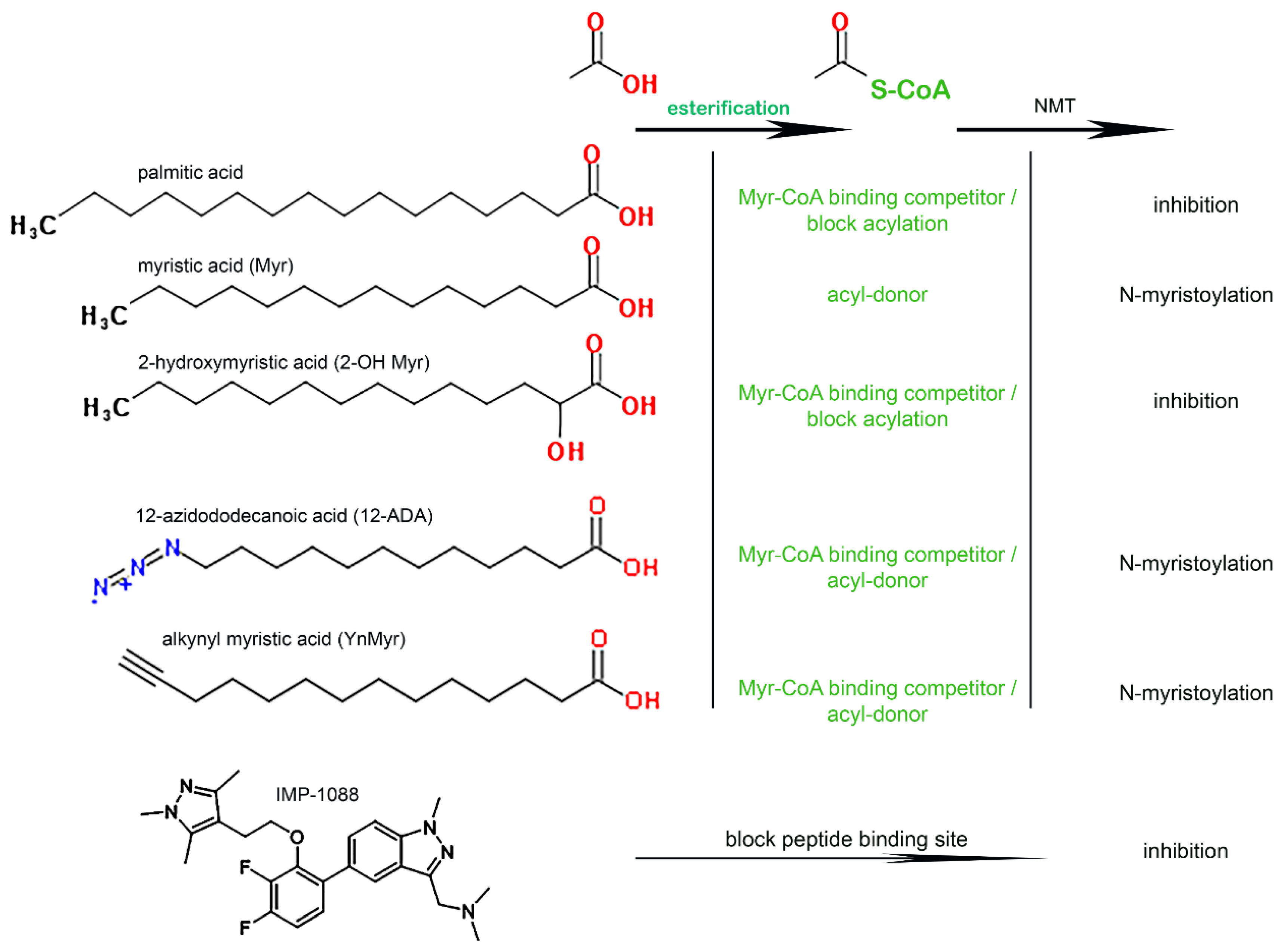 Biomolecules 12 01726 g002