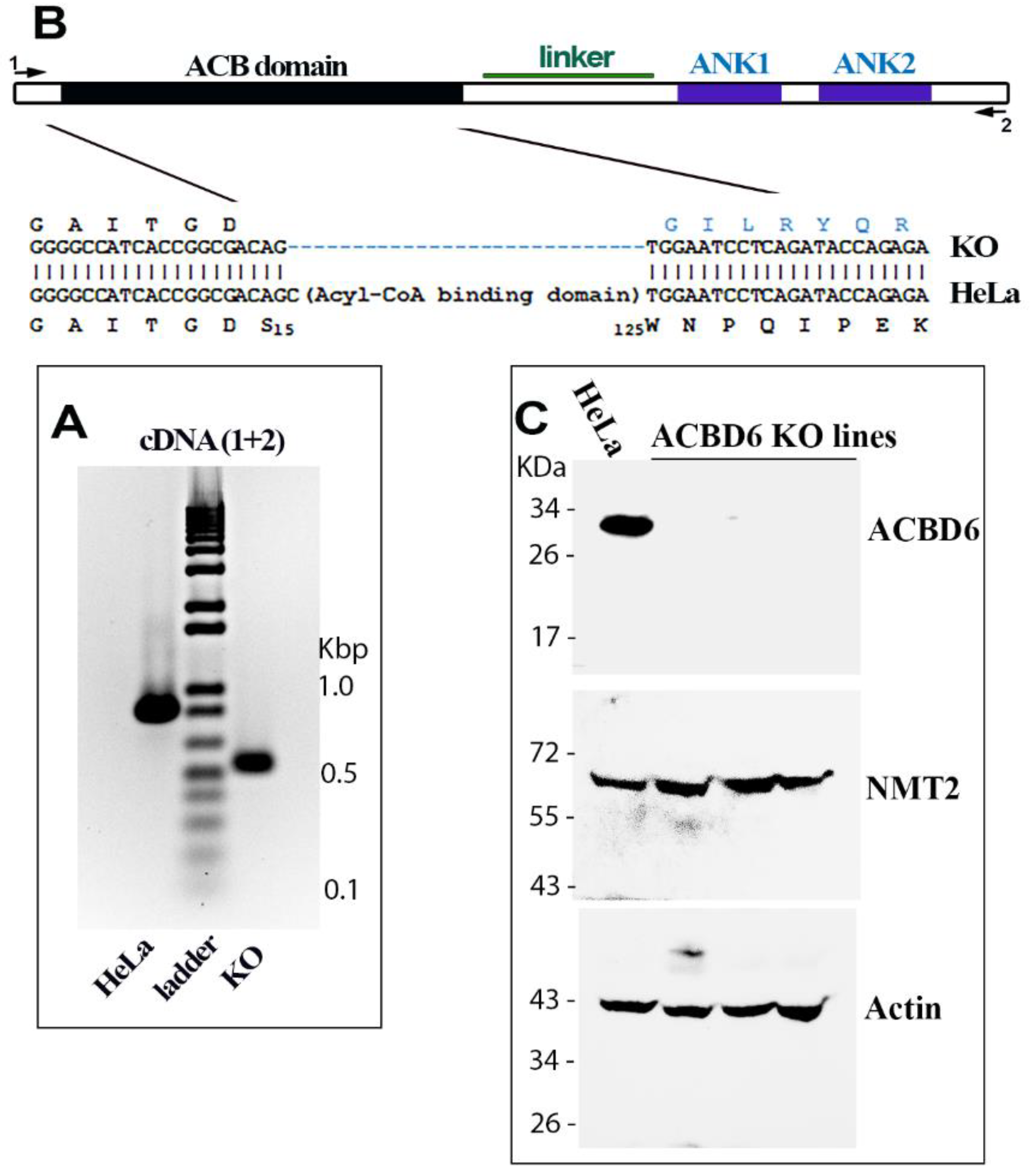Biomolecules 12 01726 g003