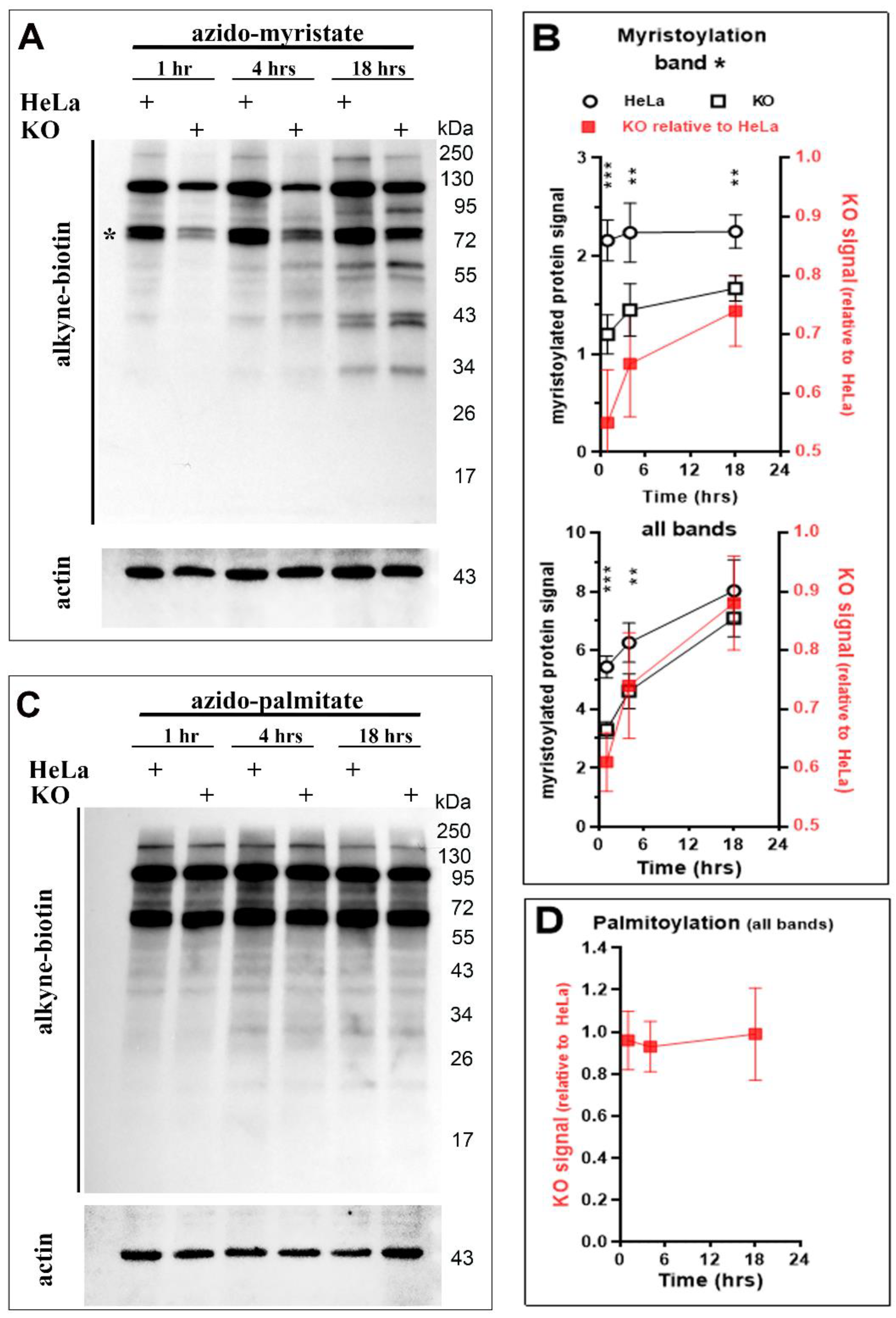 Biomolecules 12 01726 g005