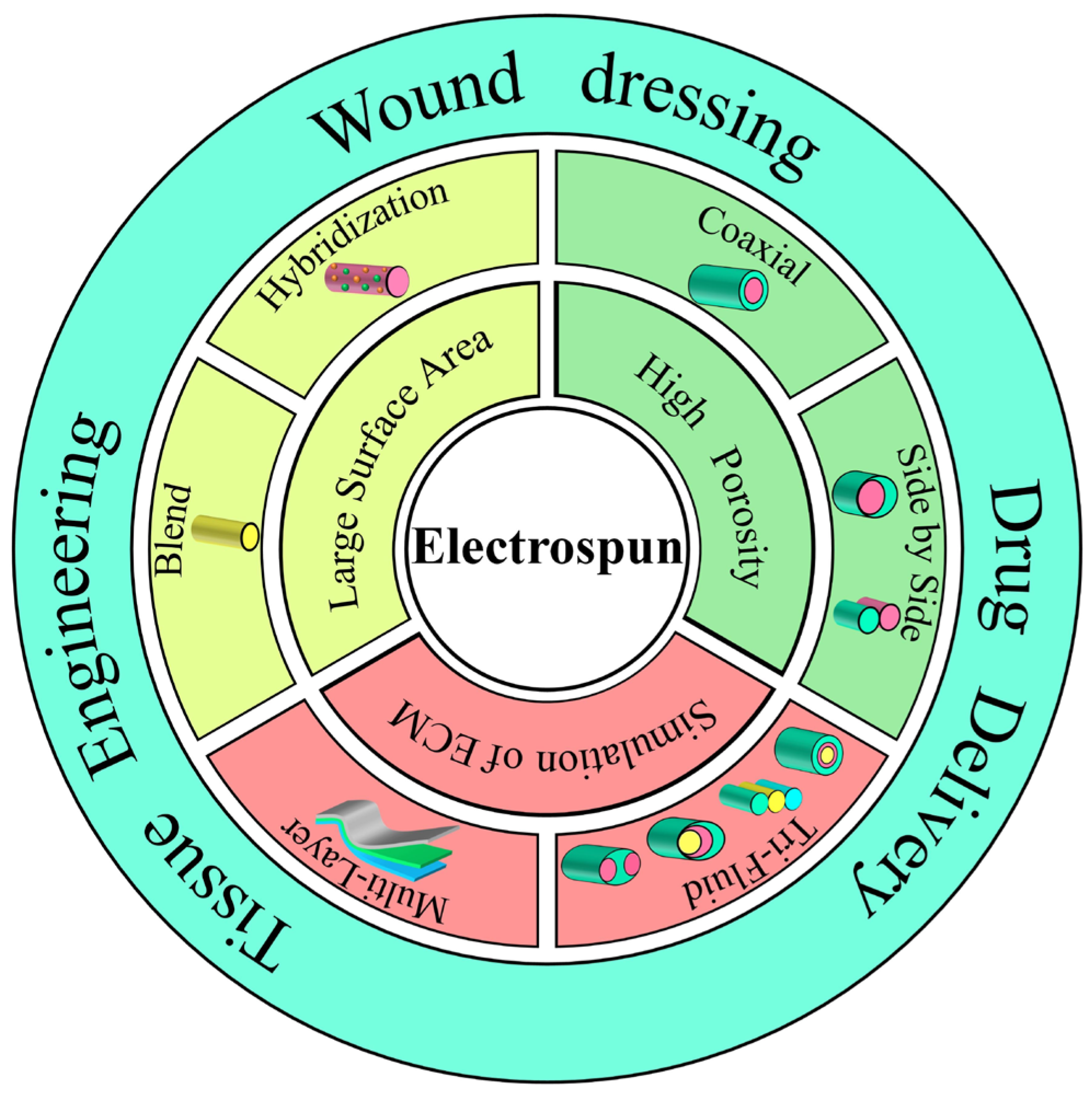 Biomolecules 12 01727 g001