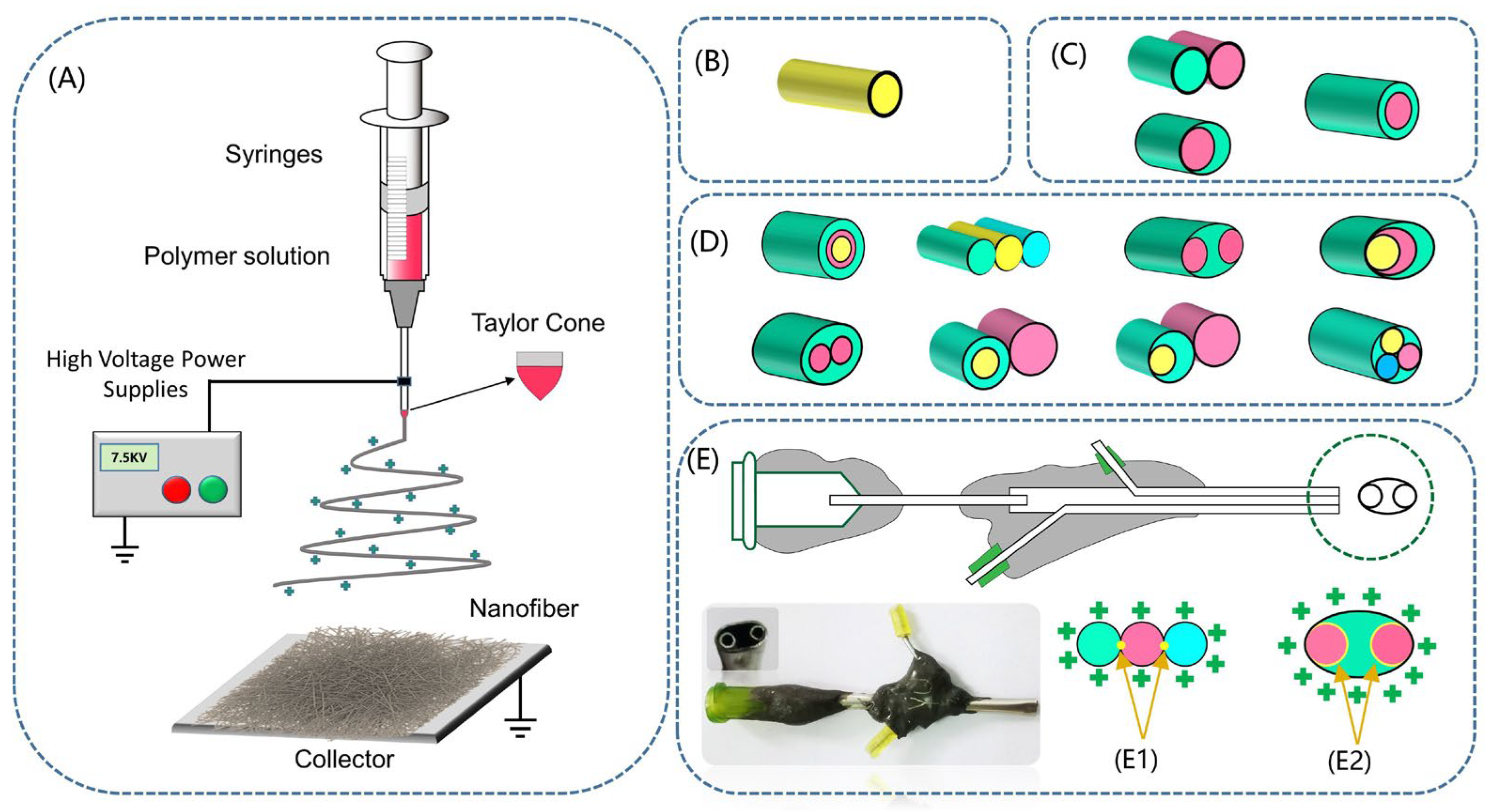 Biomolecules 12 01727 g004