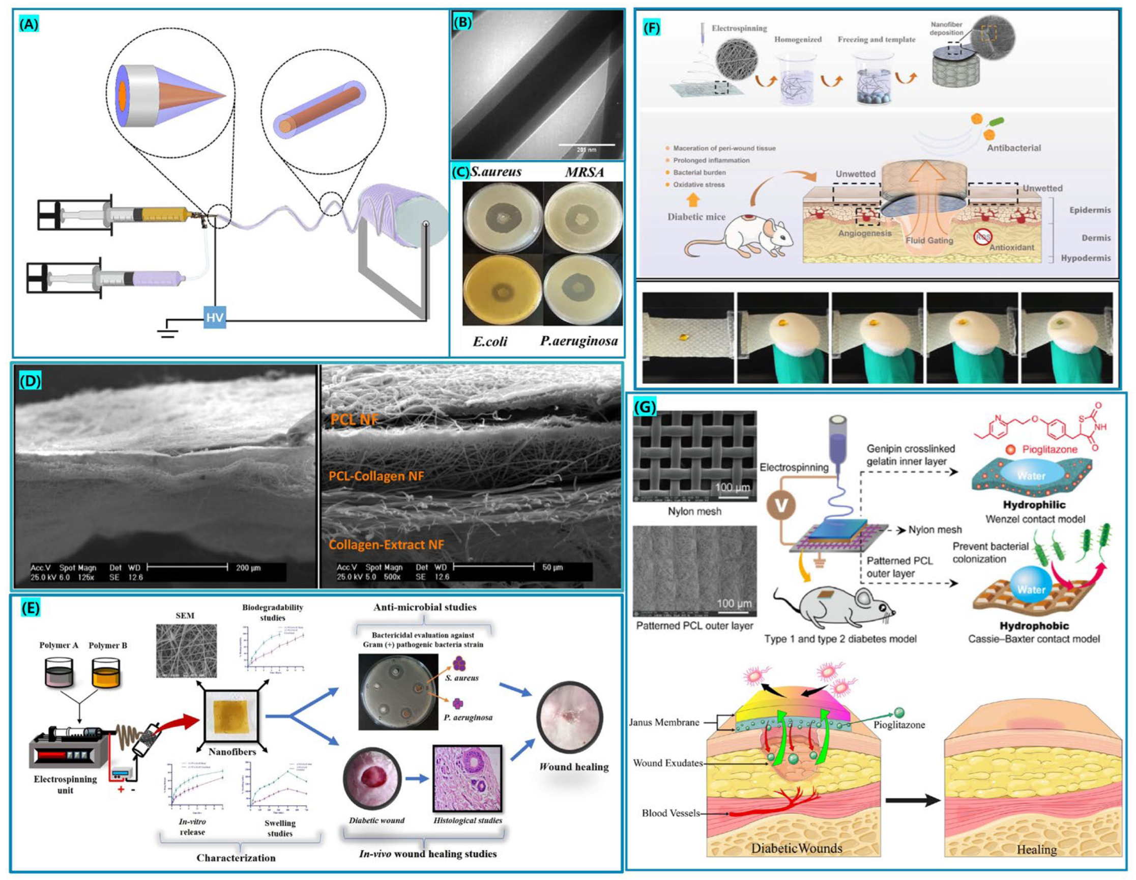 Biomolecules 12 01727 g007