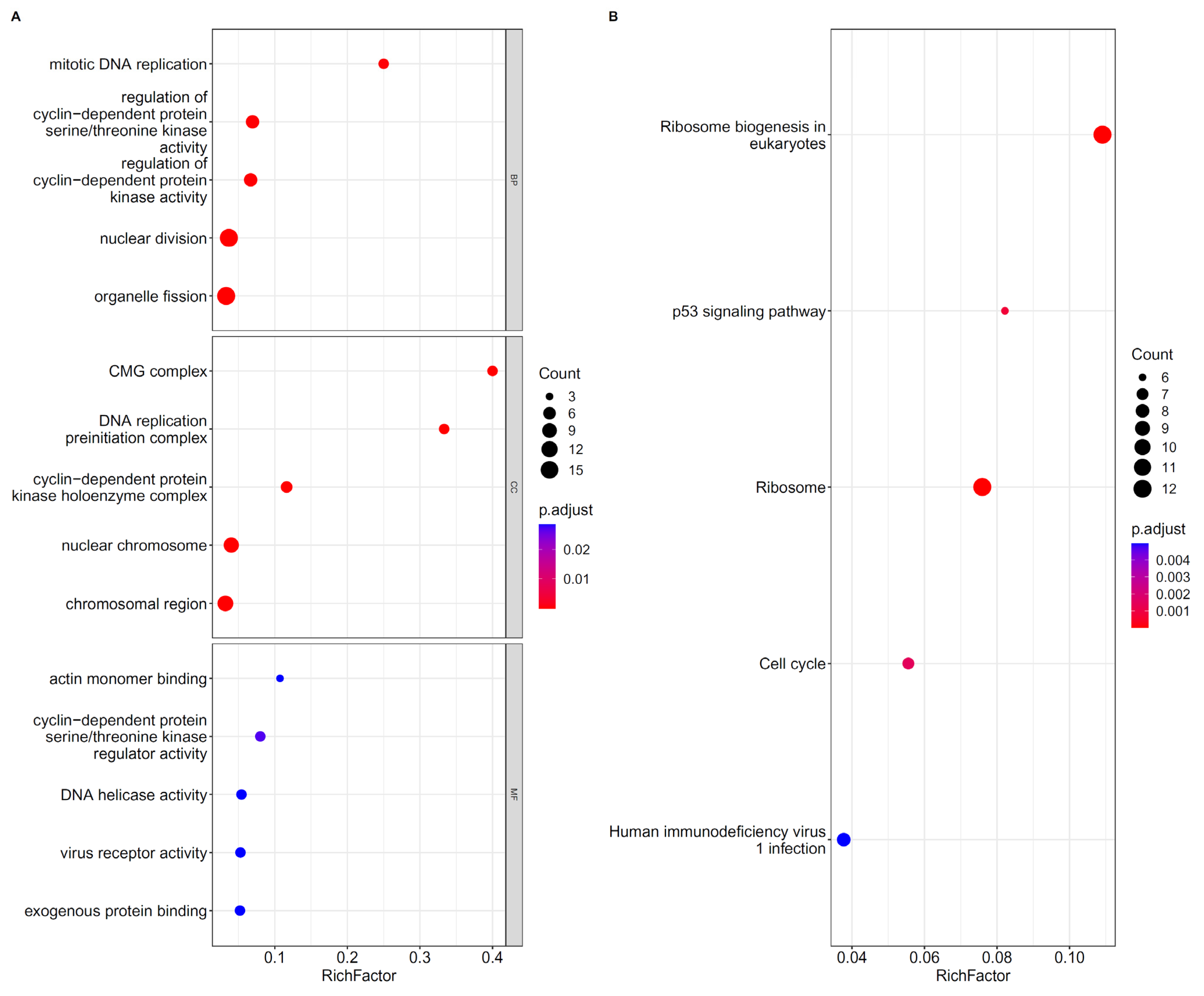 Biomolecules 12 01735 g004 Biomolecules 12 01735 g004