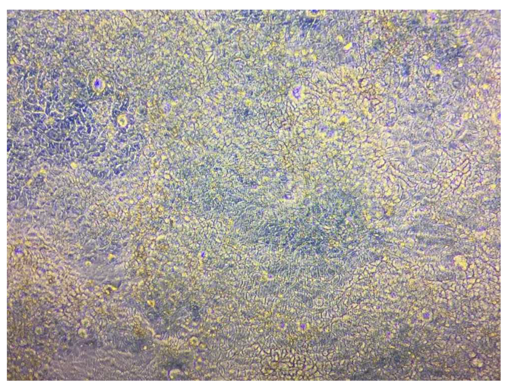 Biomolecules 12 01739 g011
