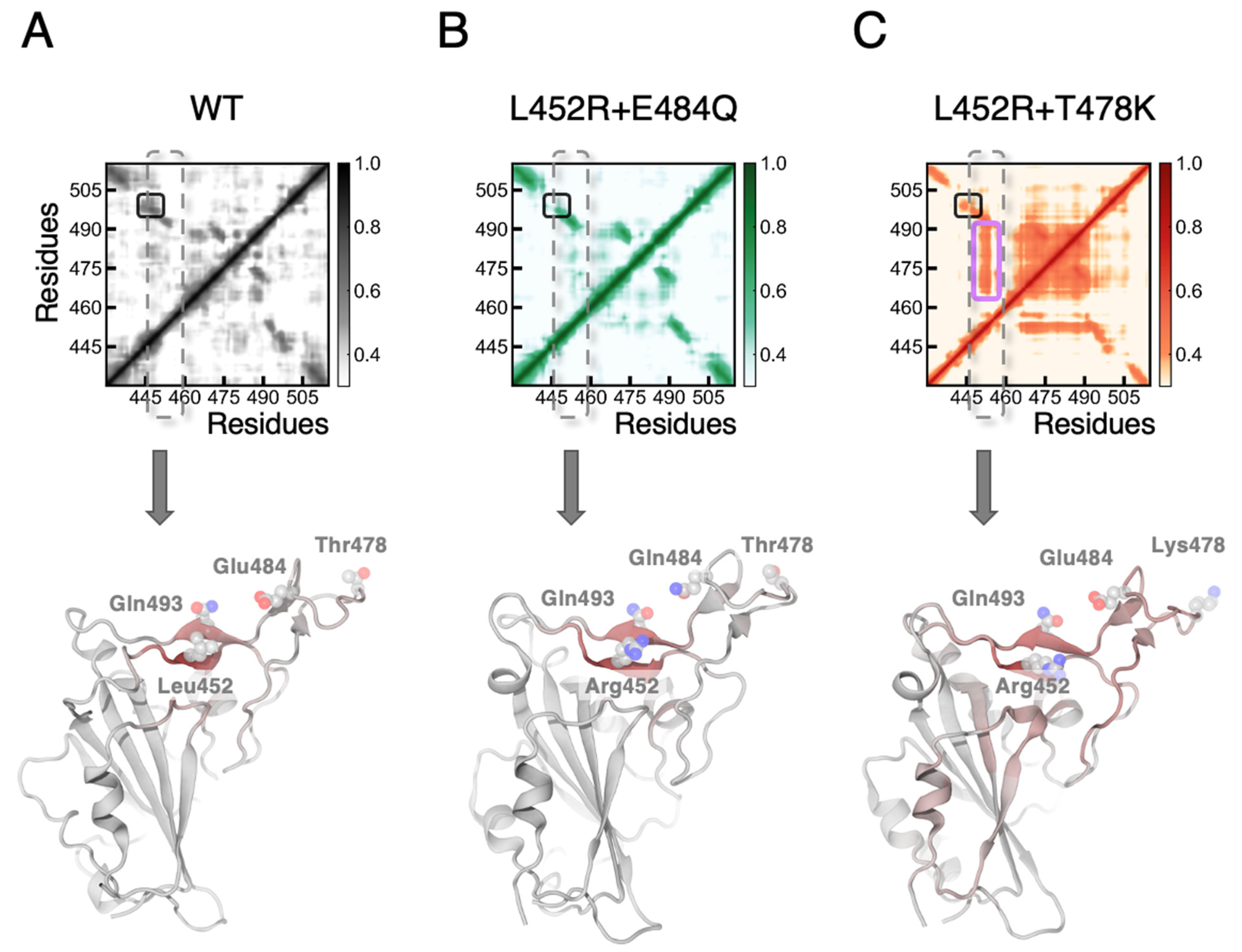 Biomolecules 12 01742 g003 Biomolecules 12 01742 g003