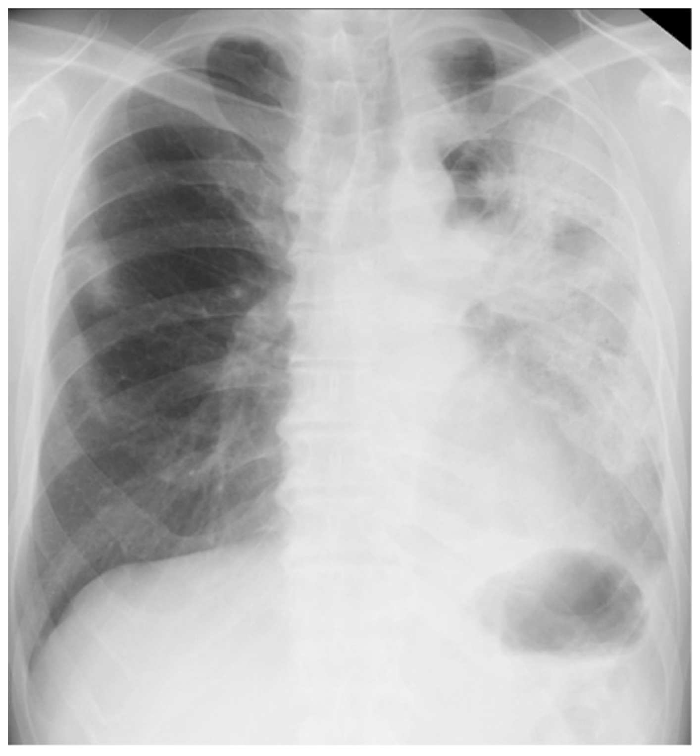 Biomolecules 12 01743 g003