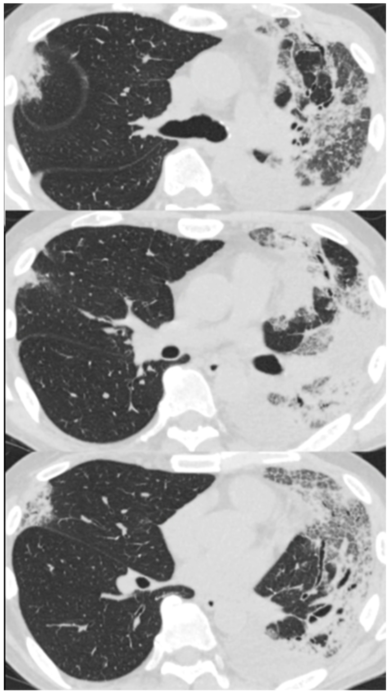 Biomolecules 12 01743 g004