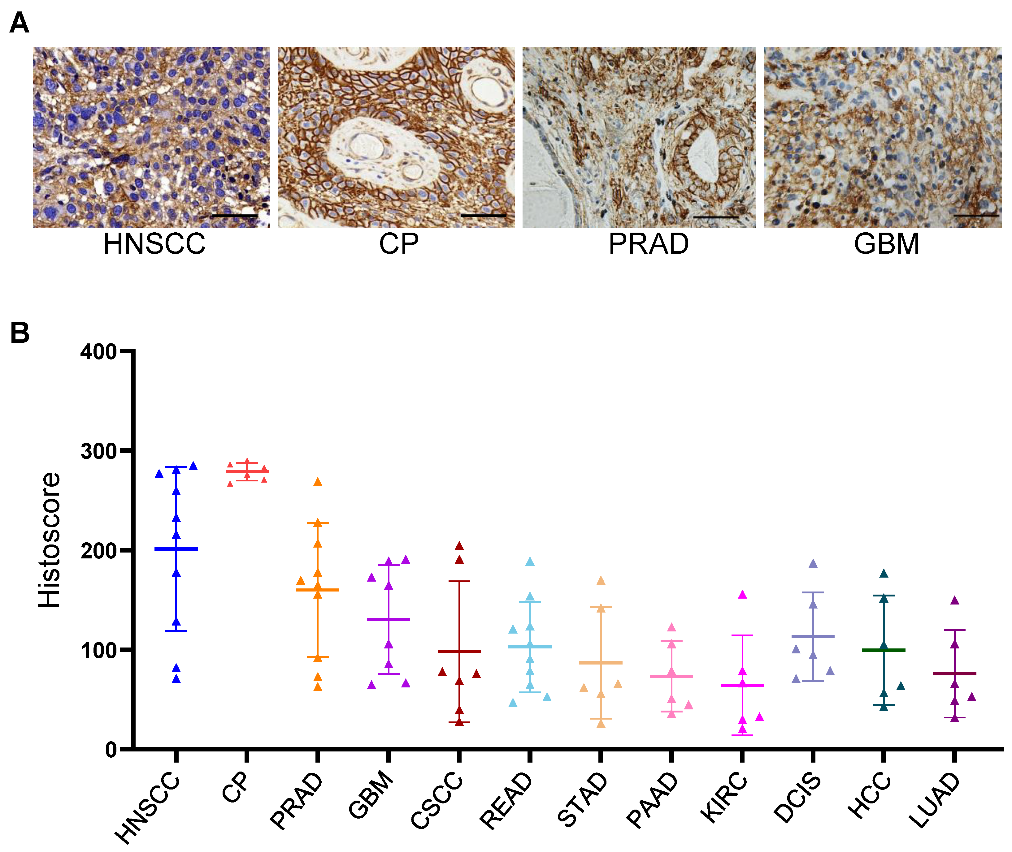 Biomolecules 12 01744 g001