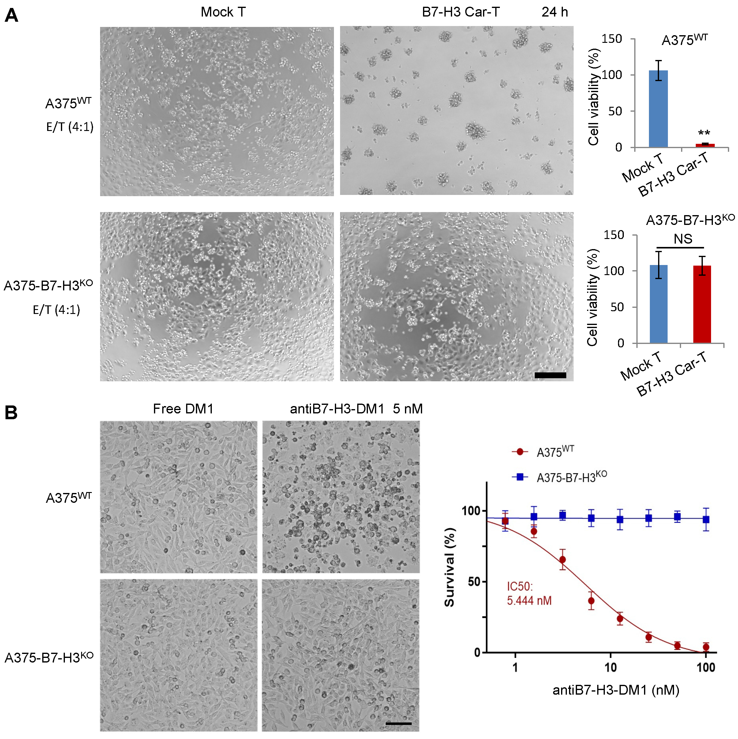 Biomolecules 12 01744 g004