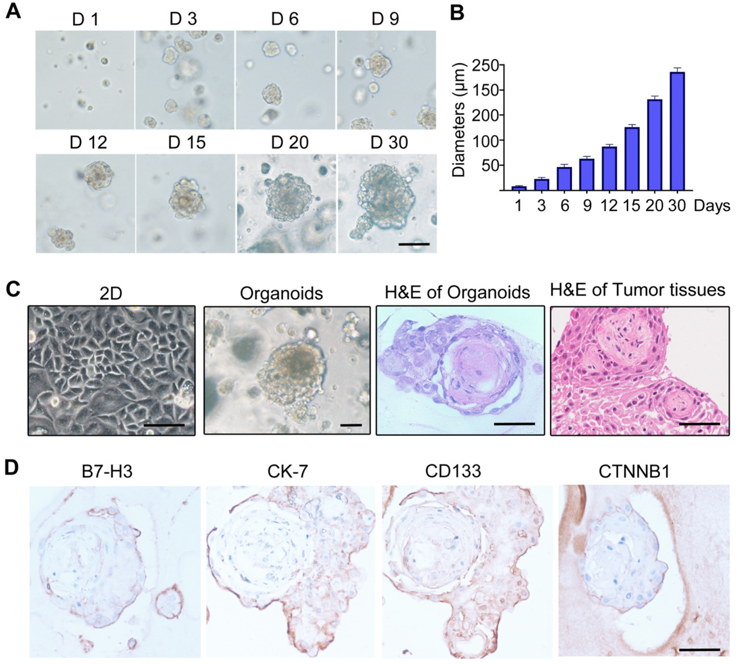 Biomolecules 12 01744 g005