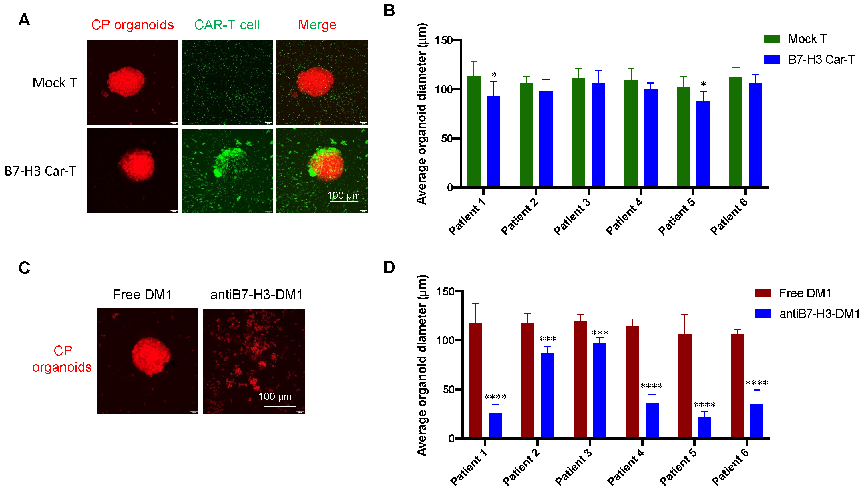 Biomolecules 12 01744 g006