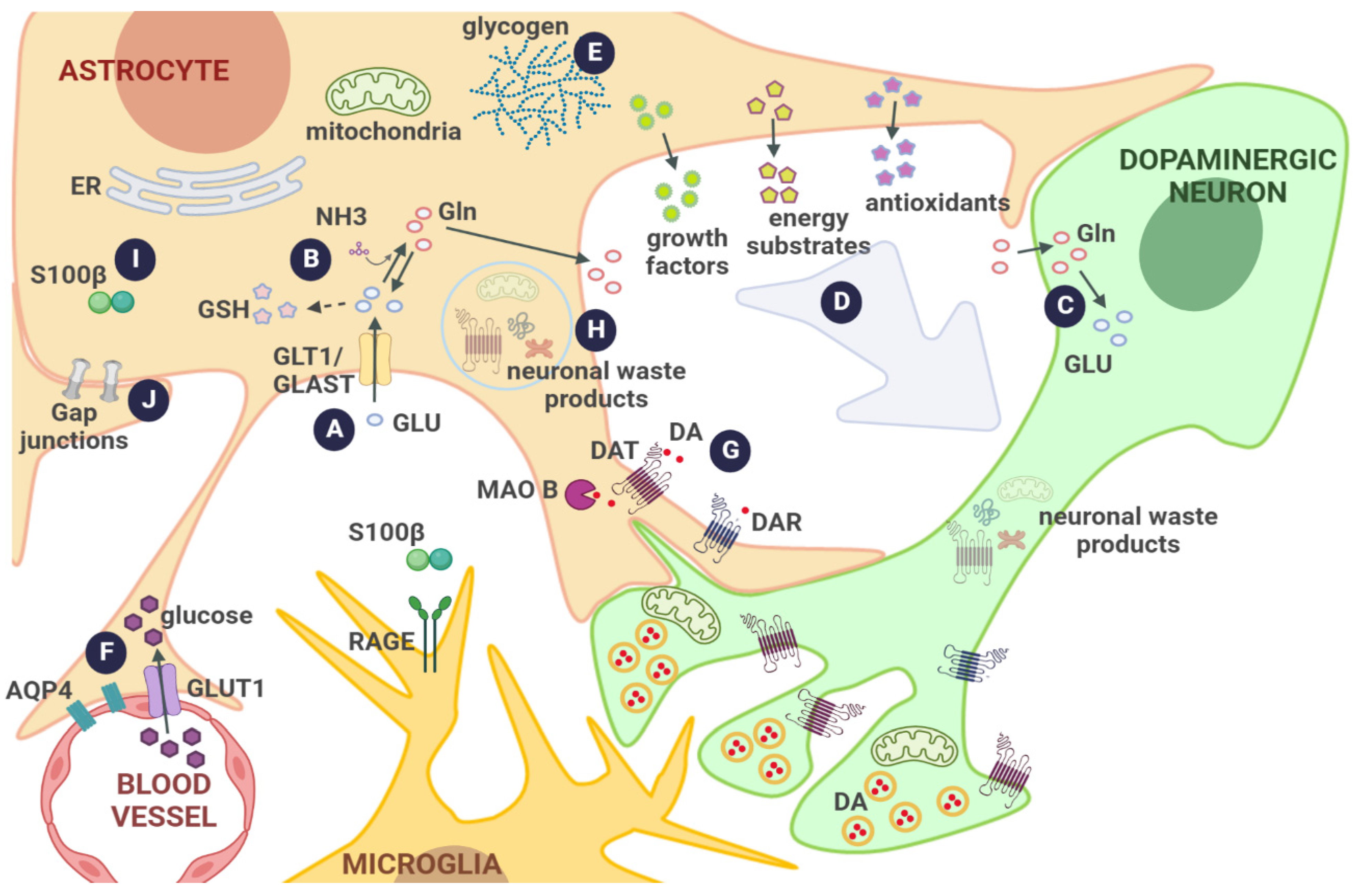 Biomolecules 12 01745 g001
