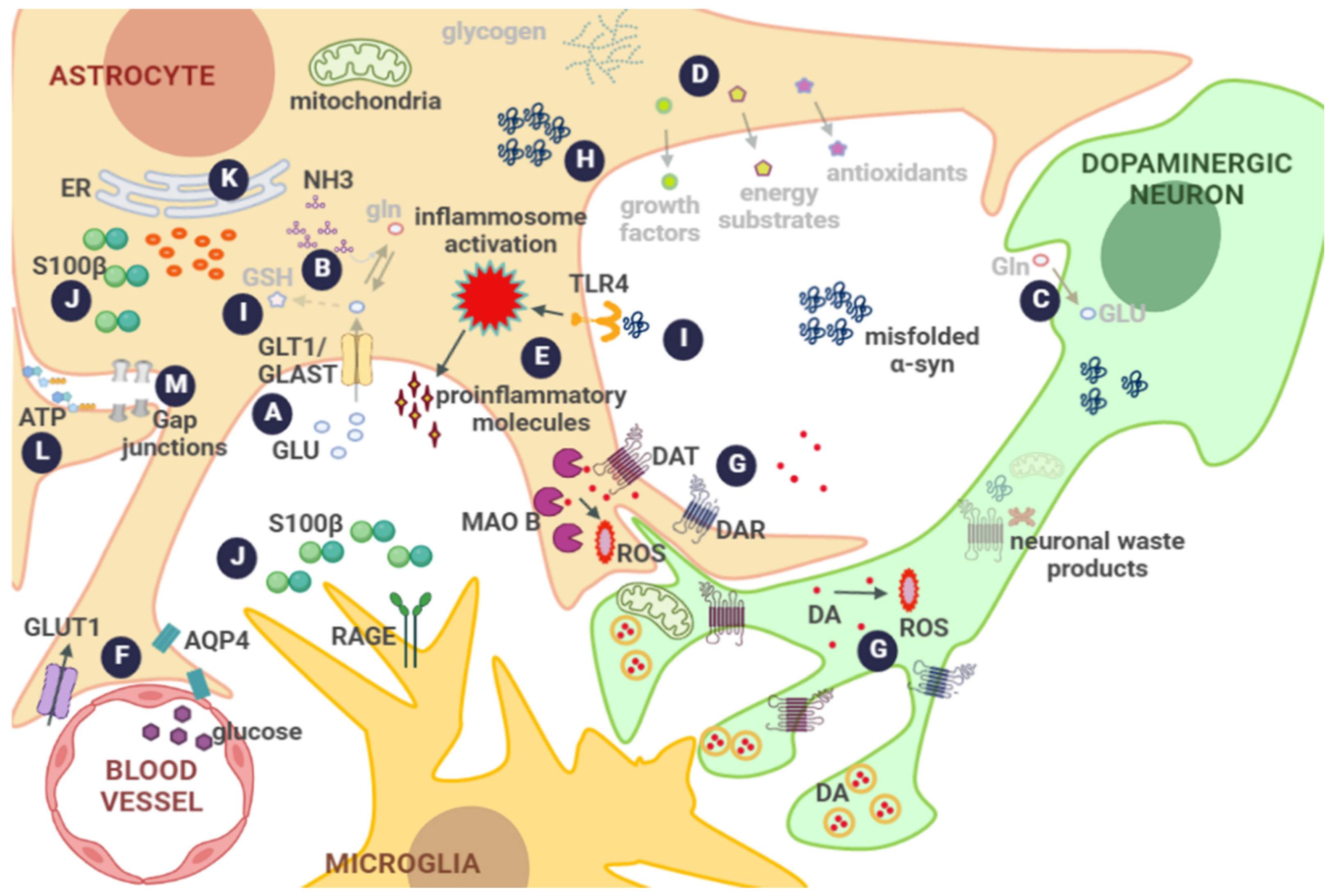 Biomolecules 12 01745 g002