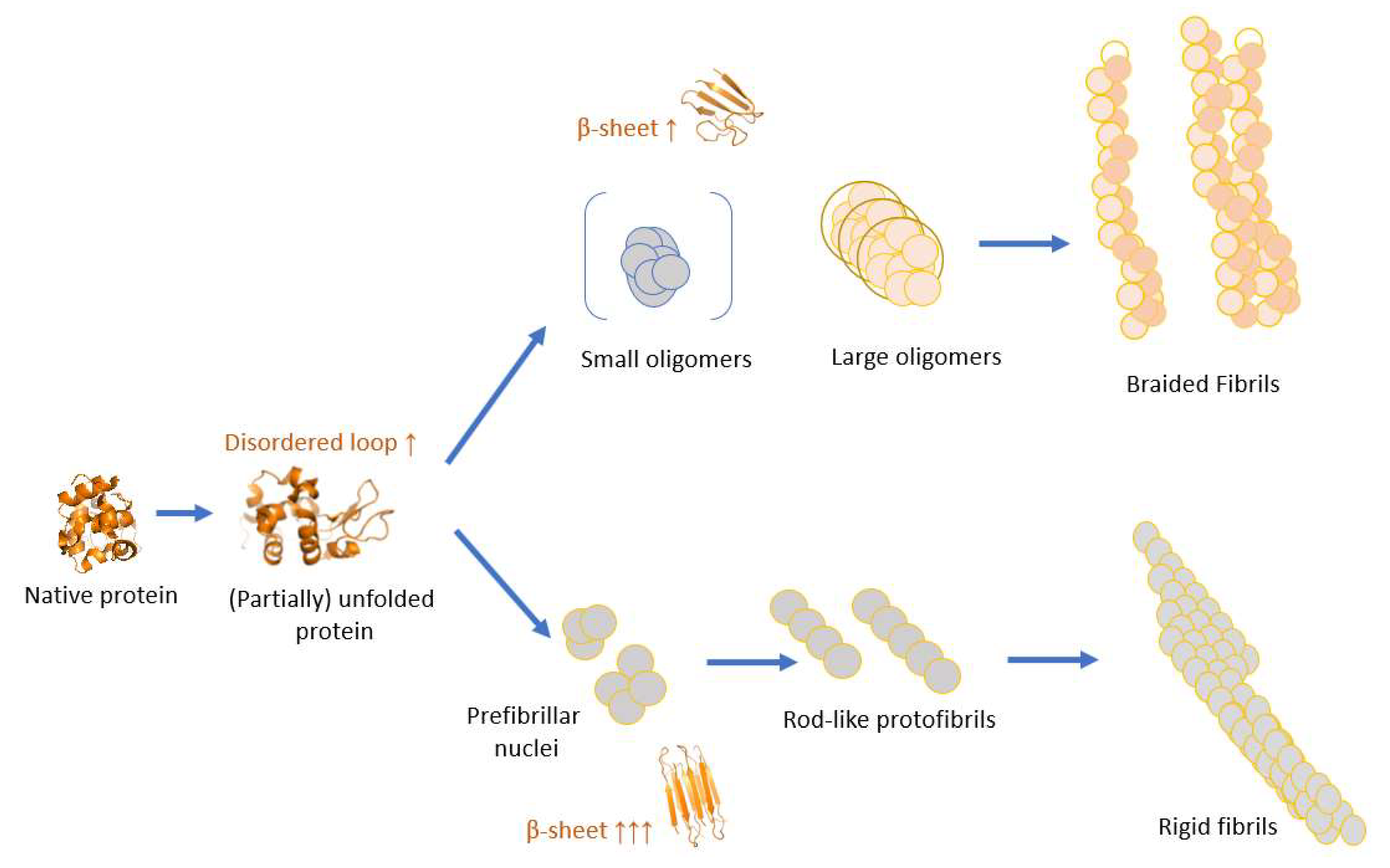 Biomolecules 12 01746 g001