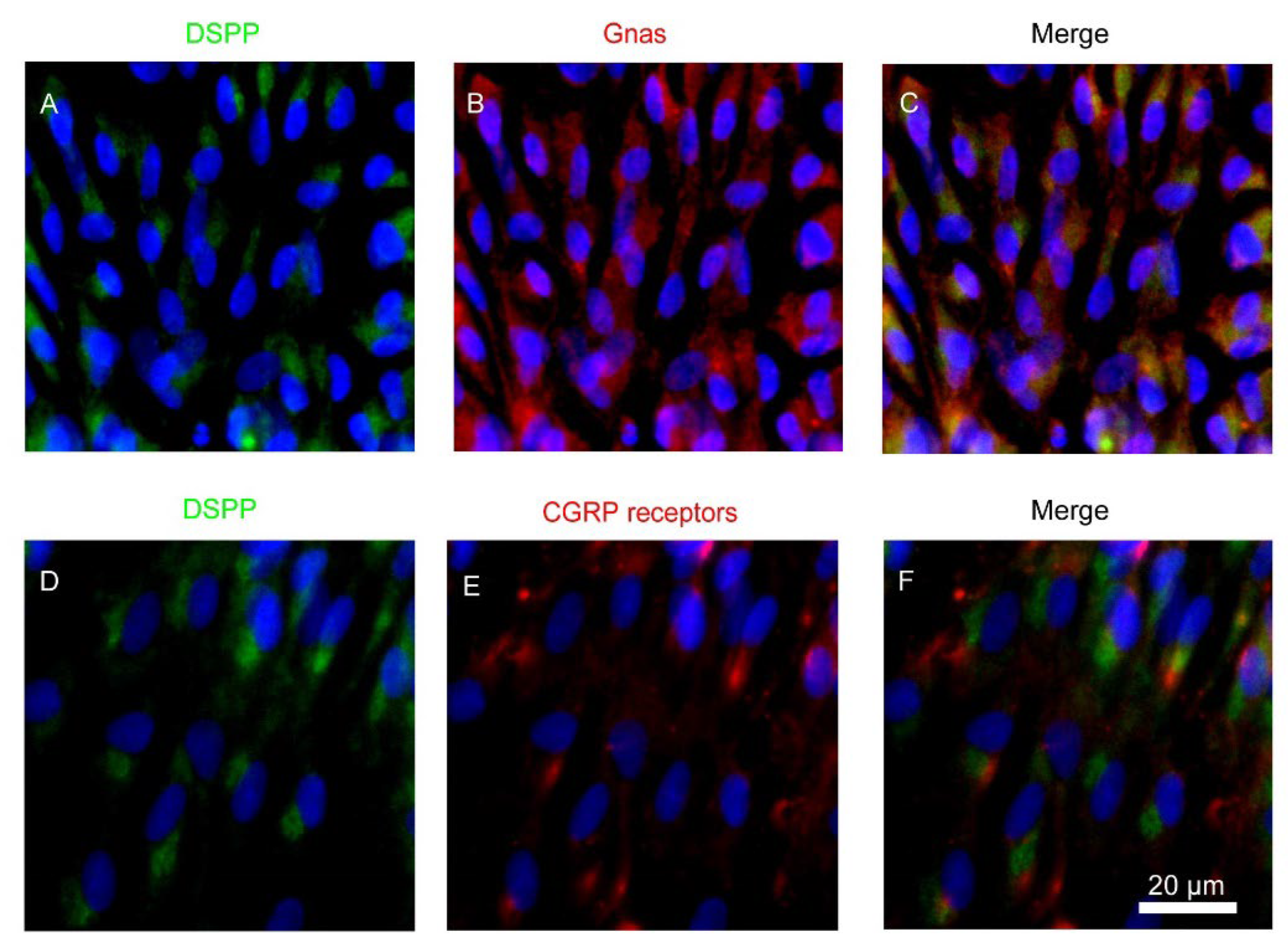 Biomolecules 12 01747 g001