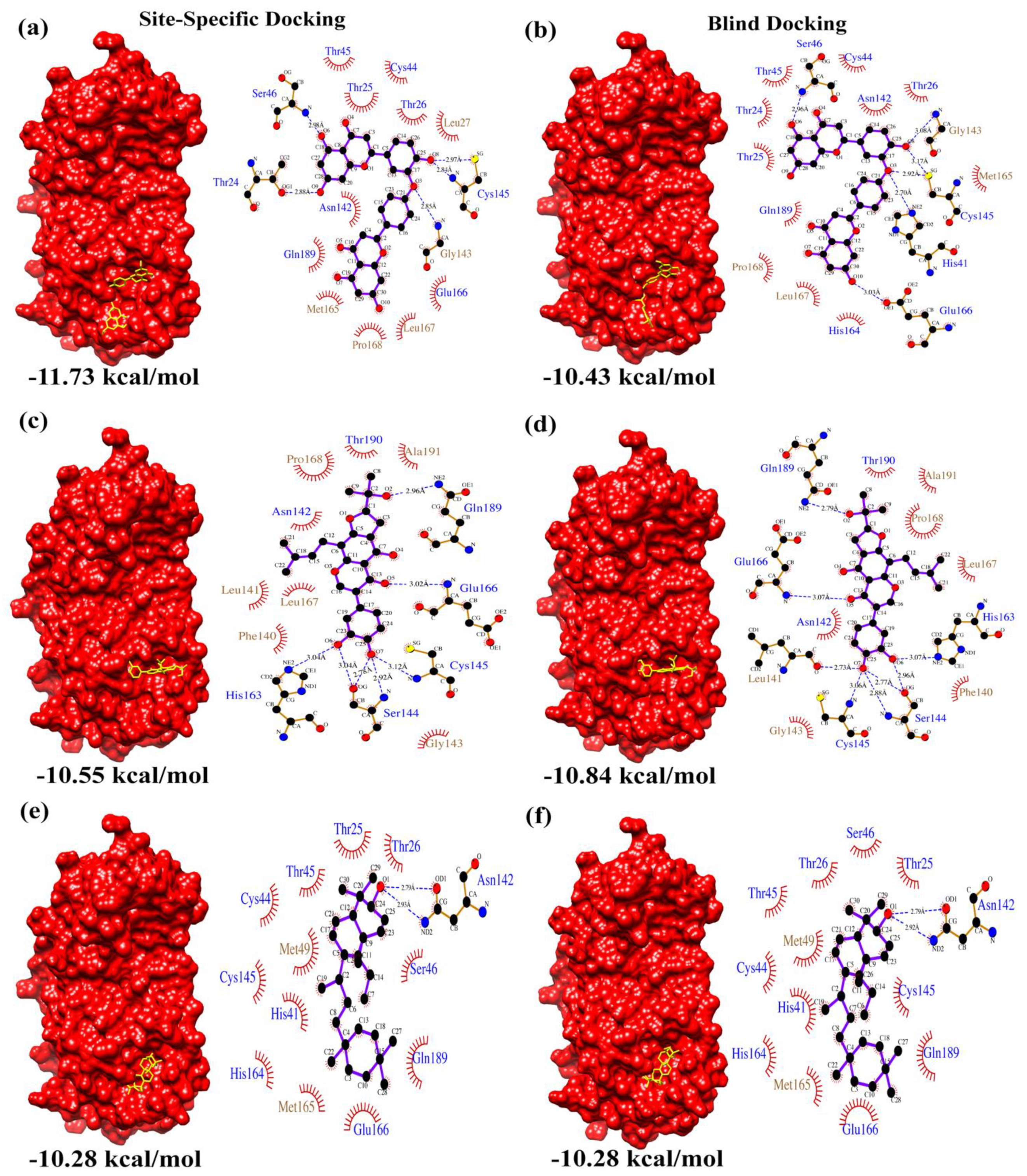 Biomolecules 12 01754 g004
