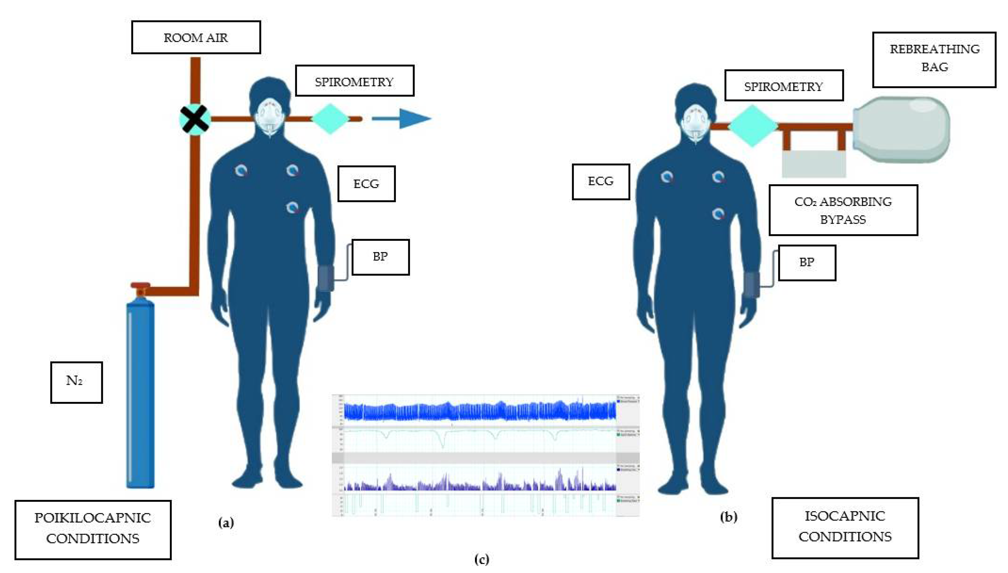 Biomolecules 12 01758 g002 Biomolecules 12 01758 g002