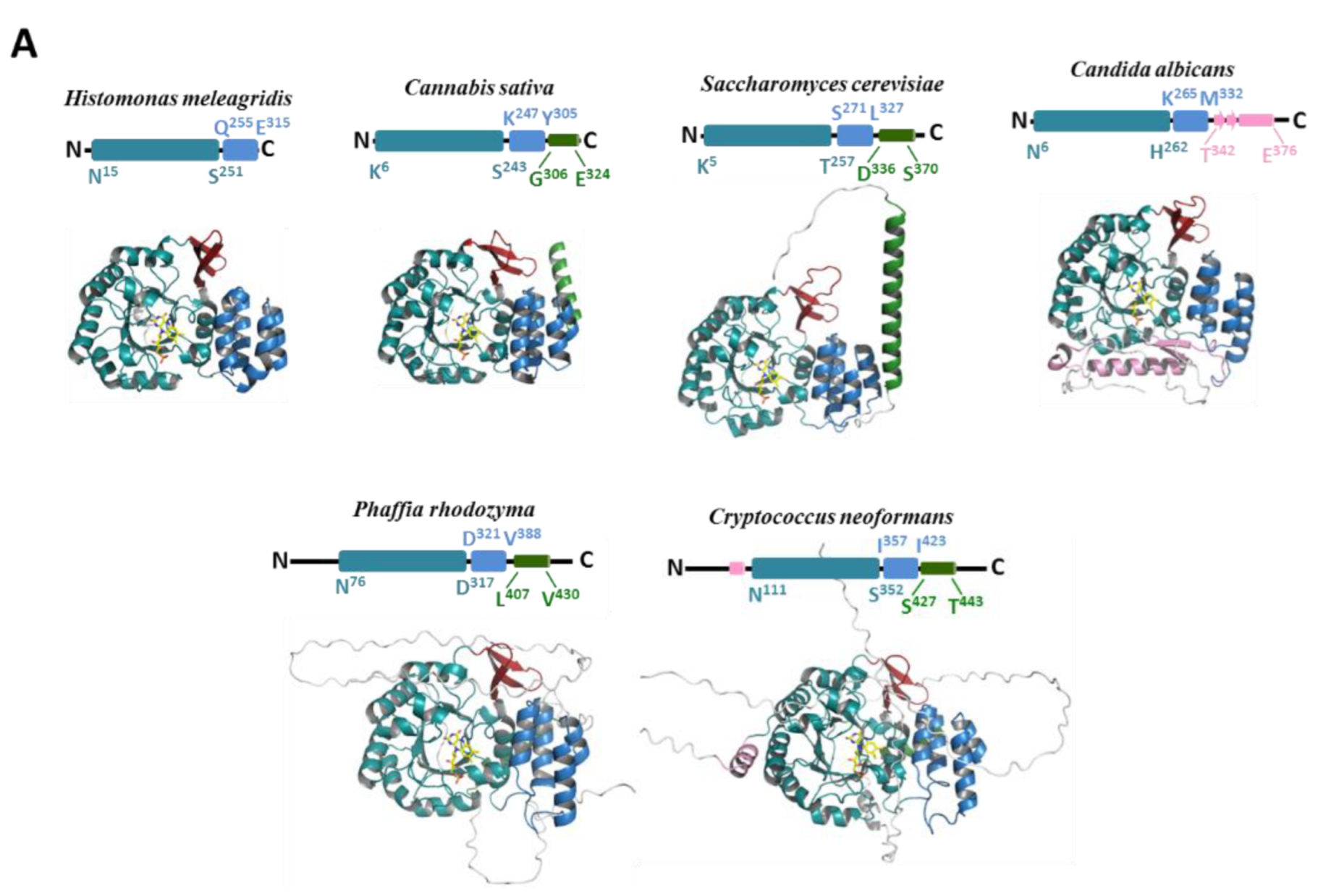 Biomolecules 12 01760 g004a