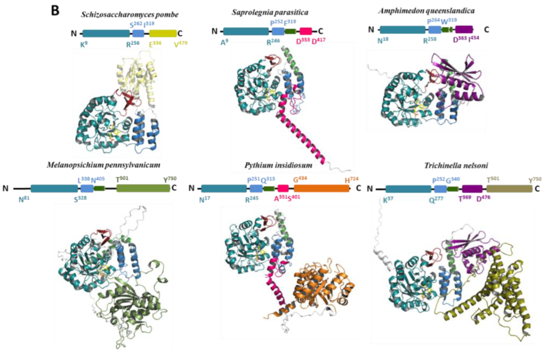 Biomolecules 12 01760 g004b