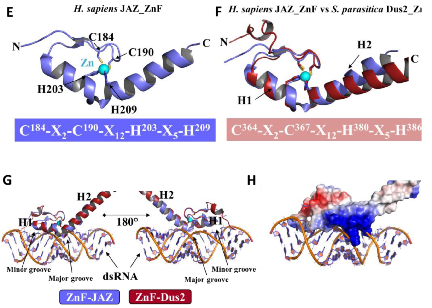 Biomolecules 12 01760 g006b
