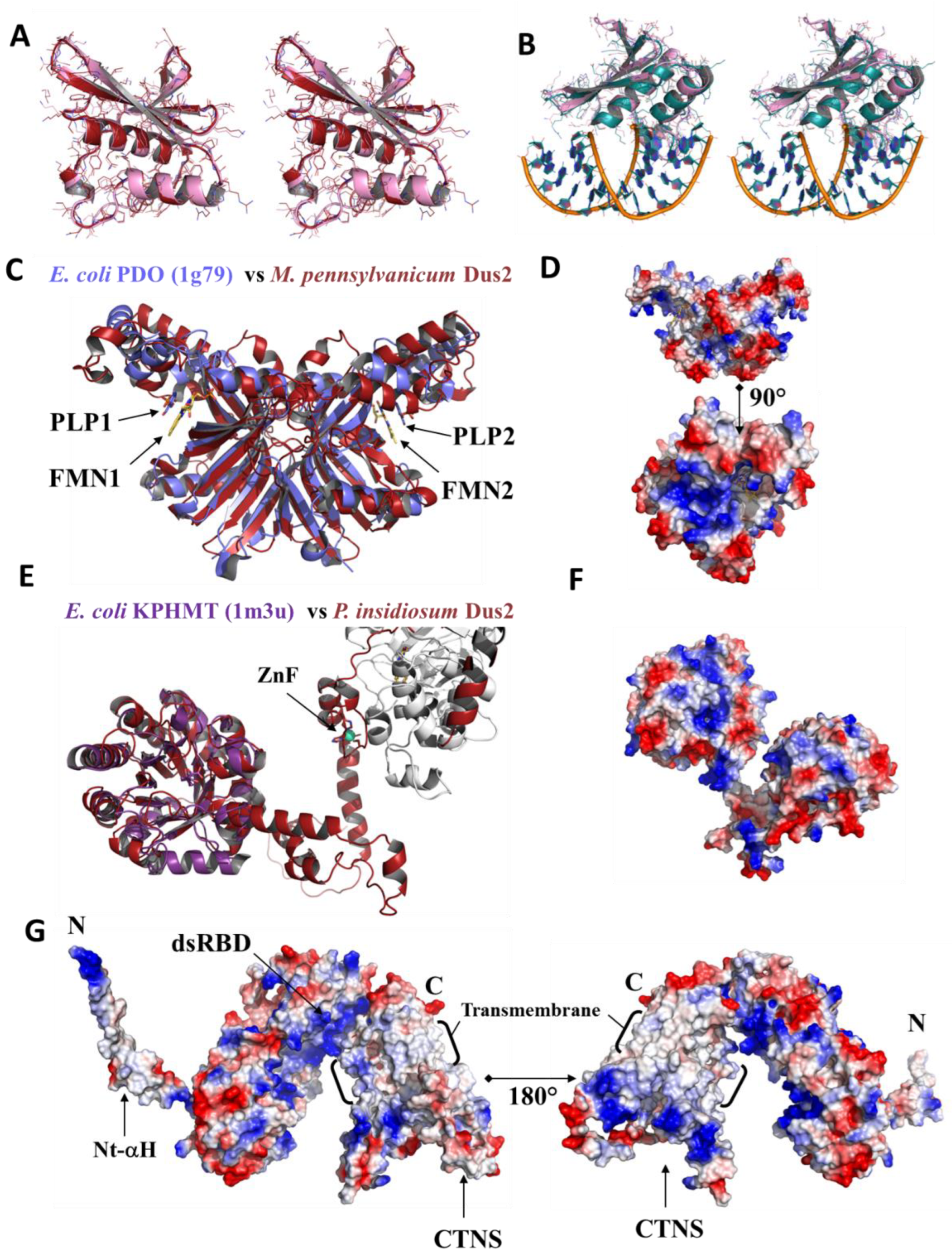 Biomolecules 12 01760 g008