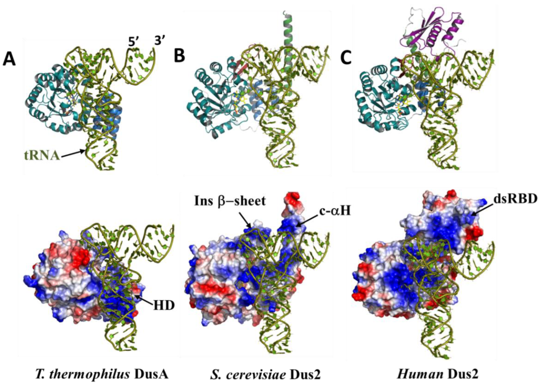 Biomolecules 12 01760 g009