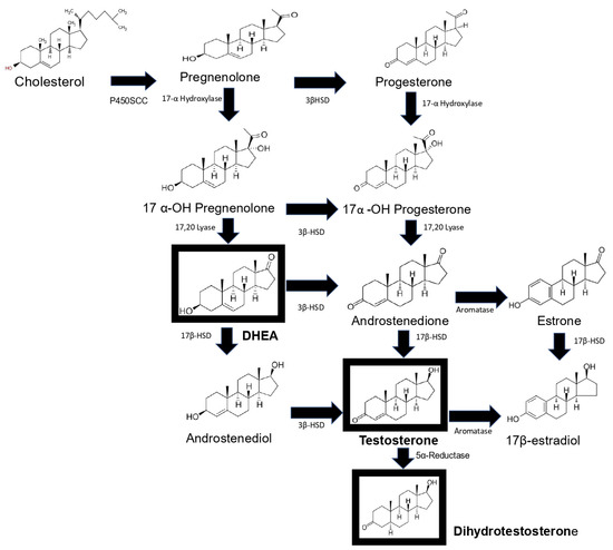 The Similarities and Differences between the Effects of