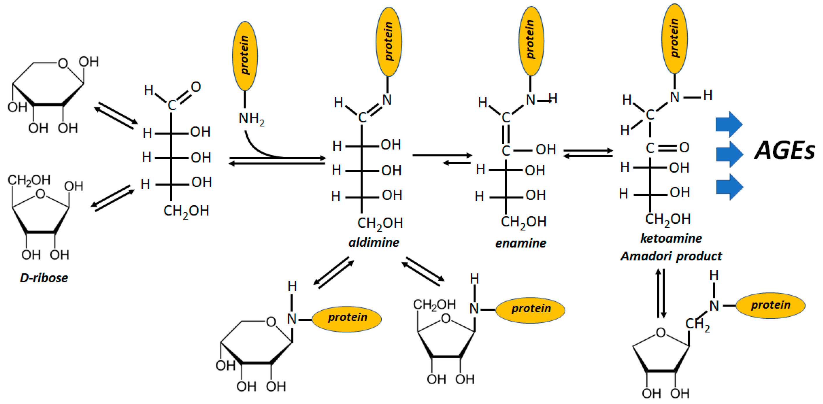 Biomolecules 12 01775 g003
